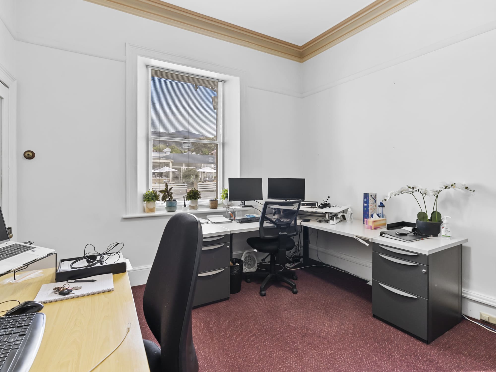 Suite/297 Elizabeth Street, North Hobart, TAS, 7000 - Image 4