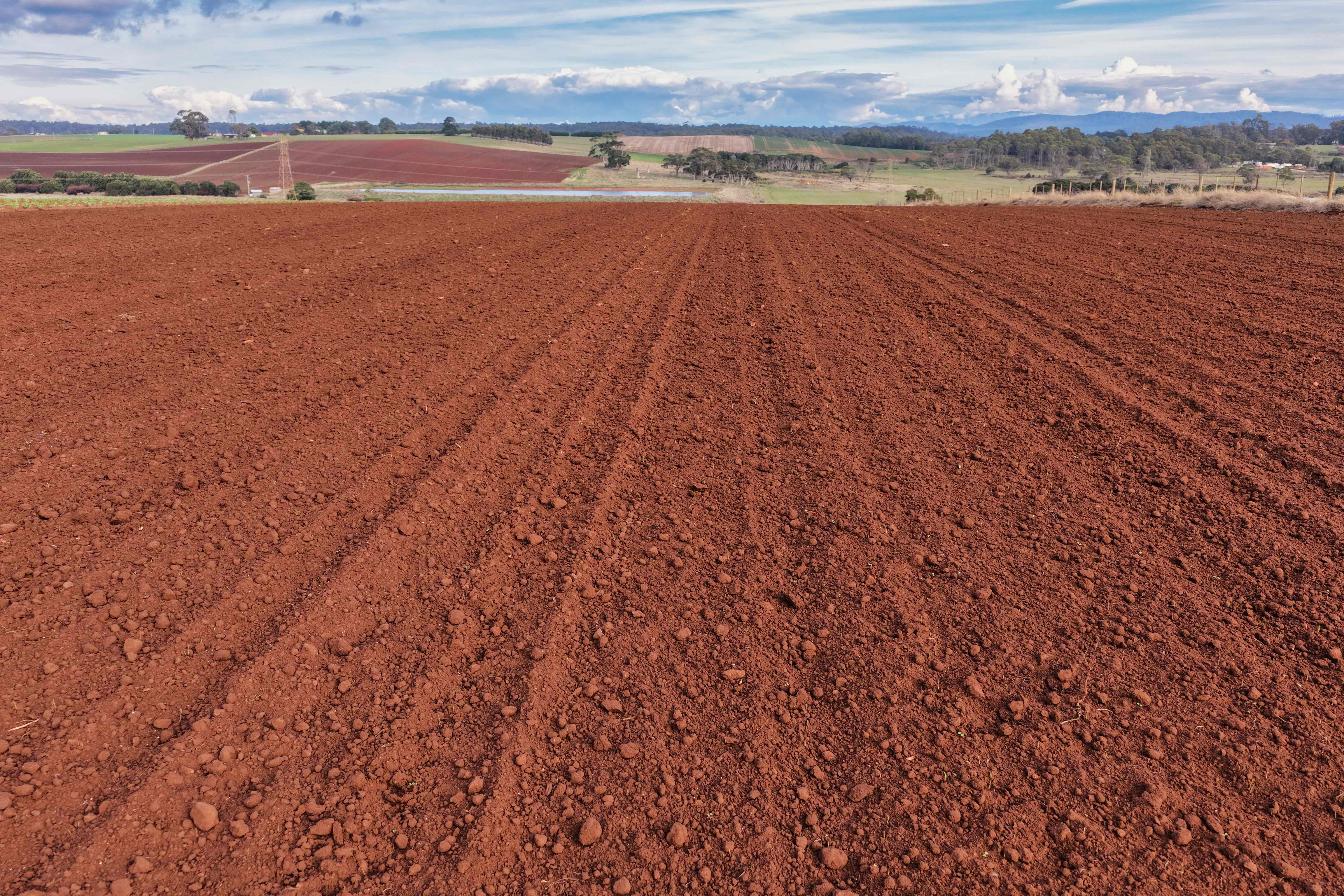 384 Port Sorrell Road, Wesley Vale, TAS, 7307 - Image 7