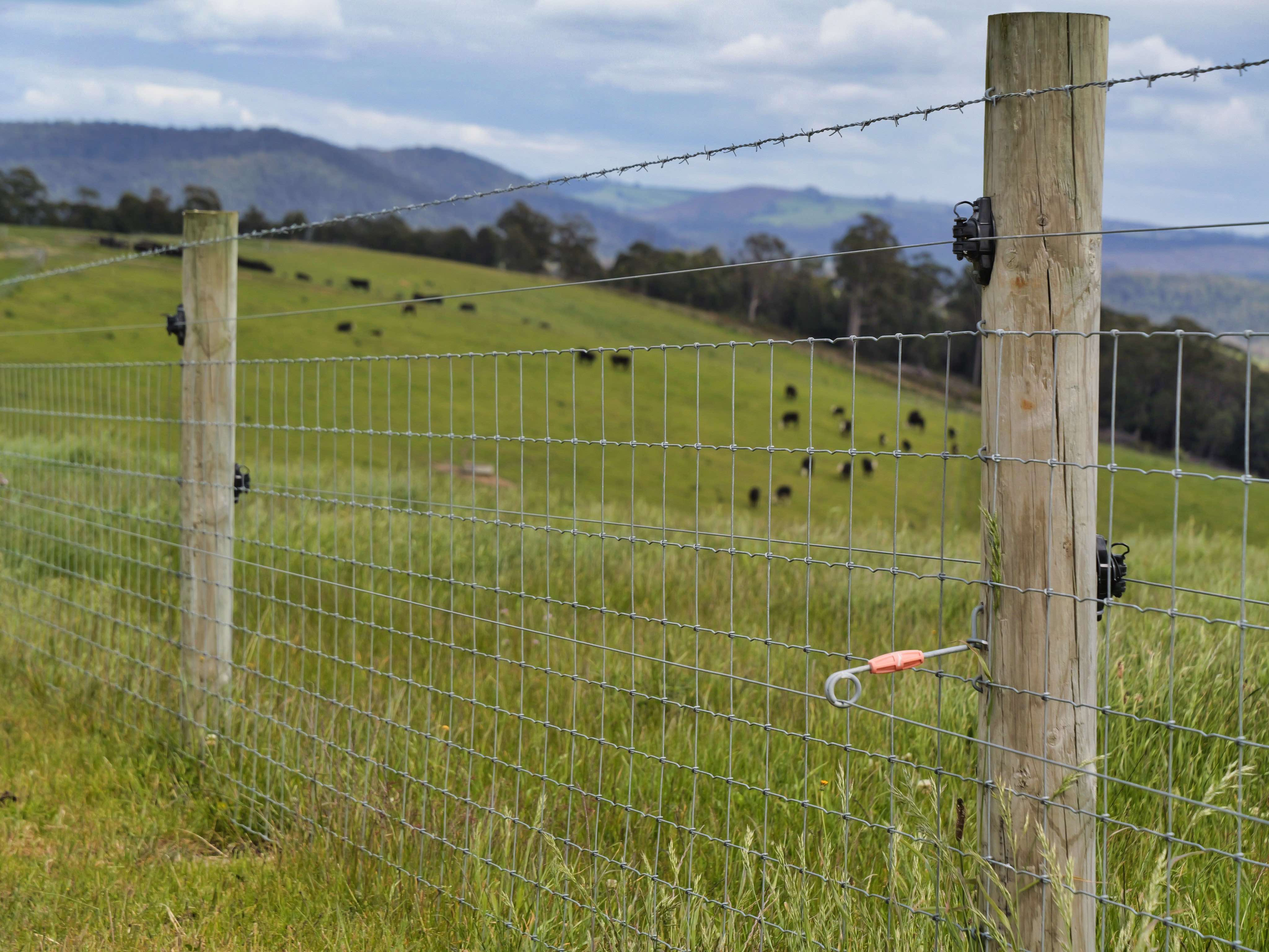 62 Bridport Back Road, Nabowla For Sale by Farmbuy.com - image 9