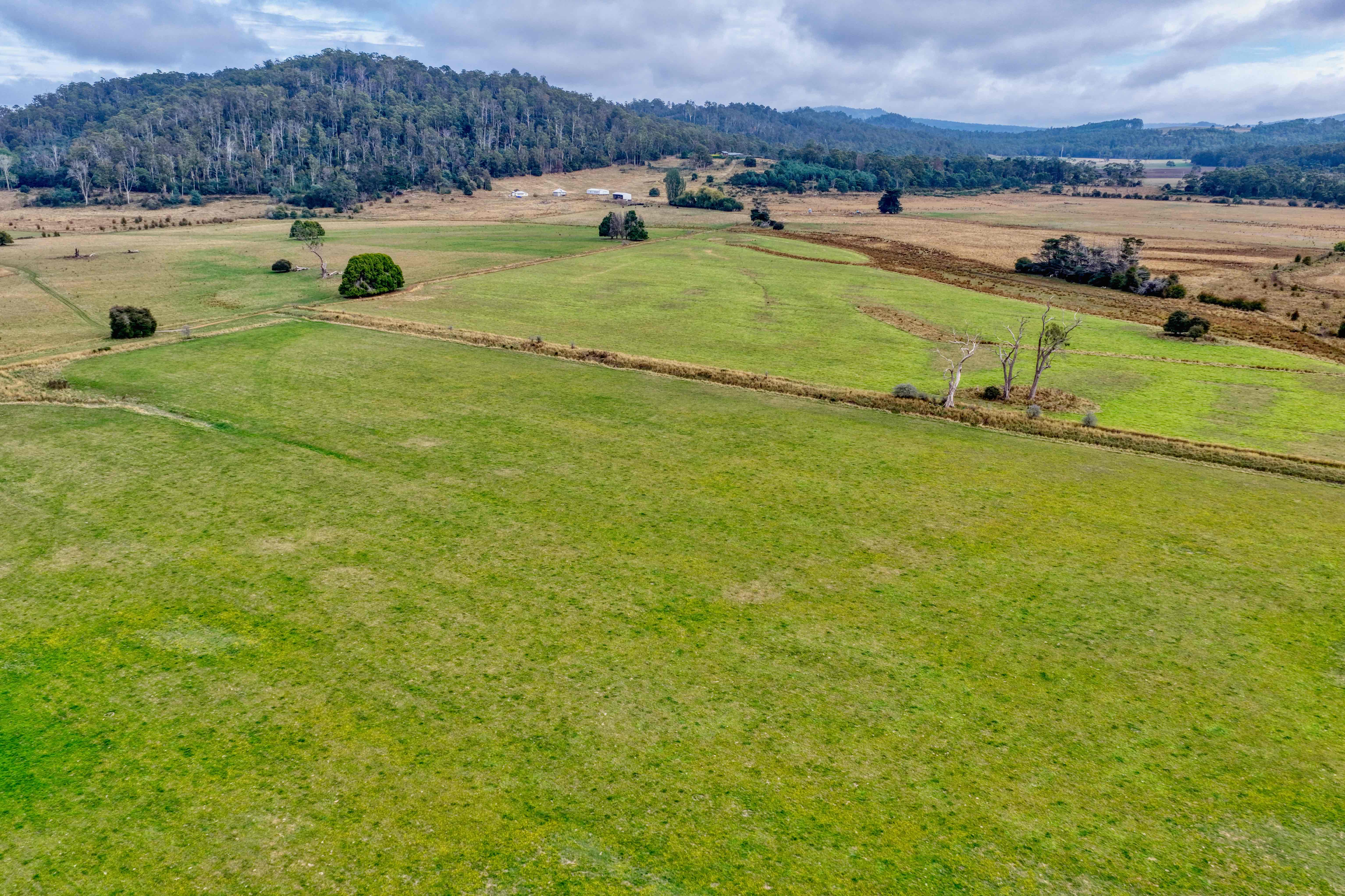 304 Porters Bridge, Exton, TAS, 7303 - Image 4