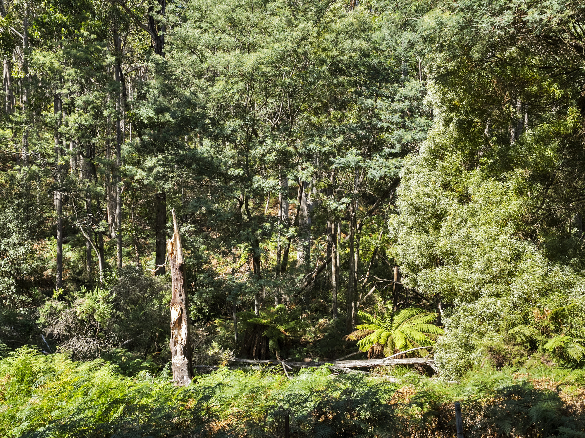 729 Nubeena Road and 44 Coppings Road, Premaydena, TAS, 7185 - Image 8
