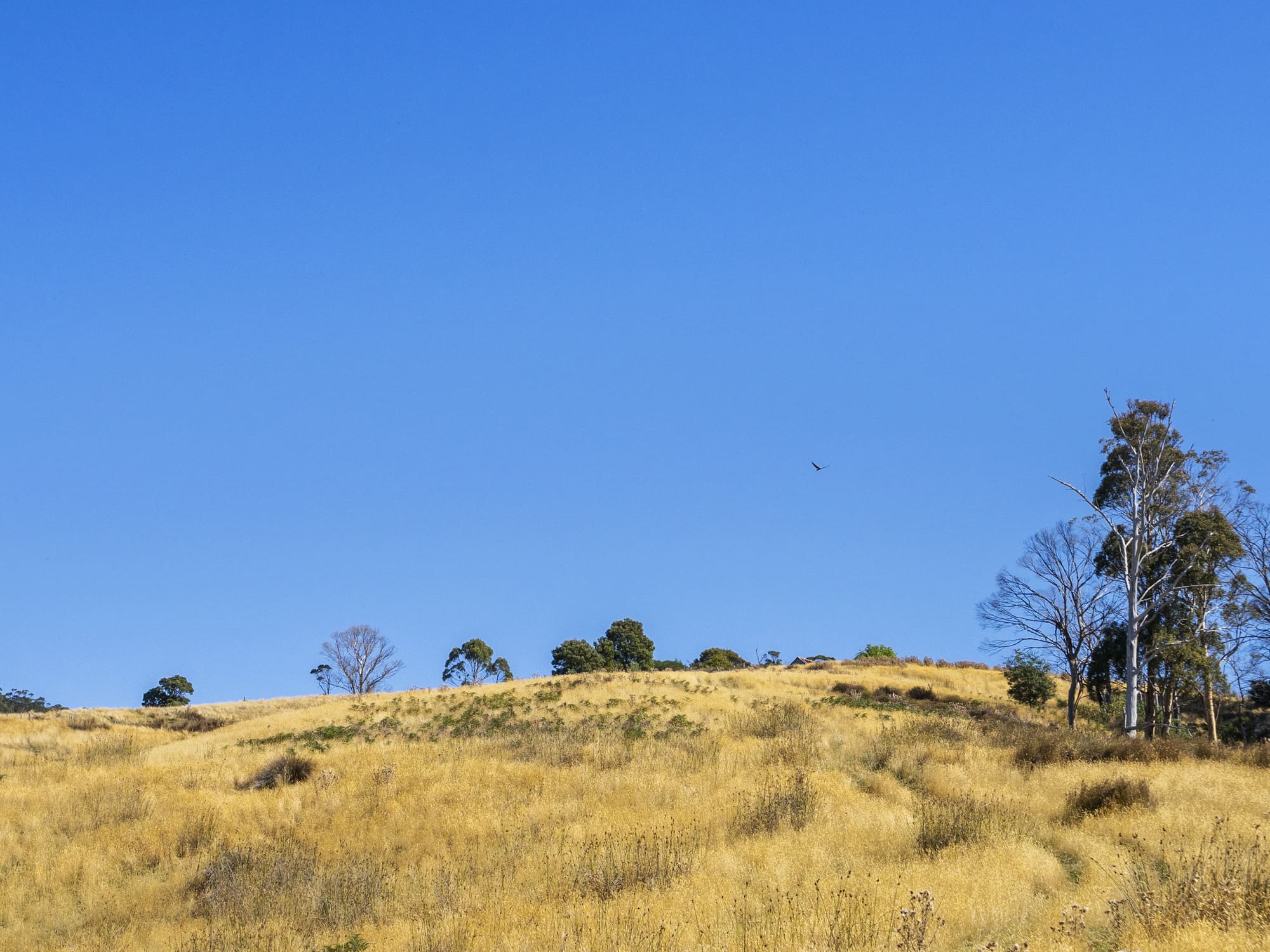 729 Nubeena Road and 44 Coppings Road, Premaydena, TAS, 7185 - Image 7