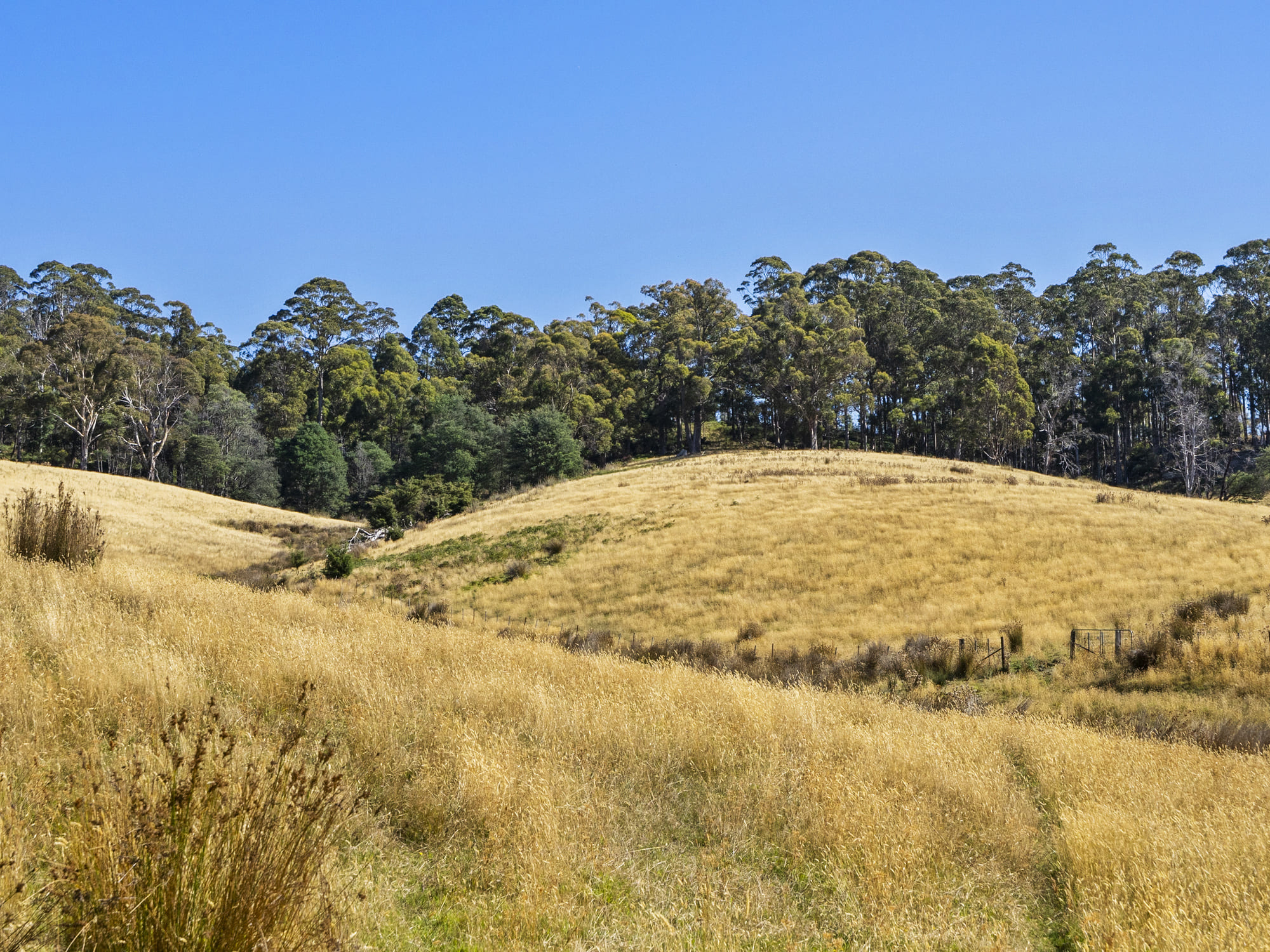 44 Coppings Road, Premaydena, TAS, 7185 - Image 12