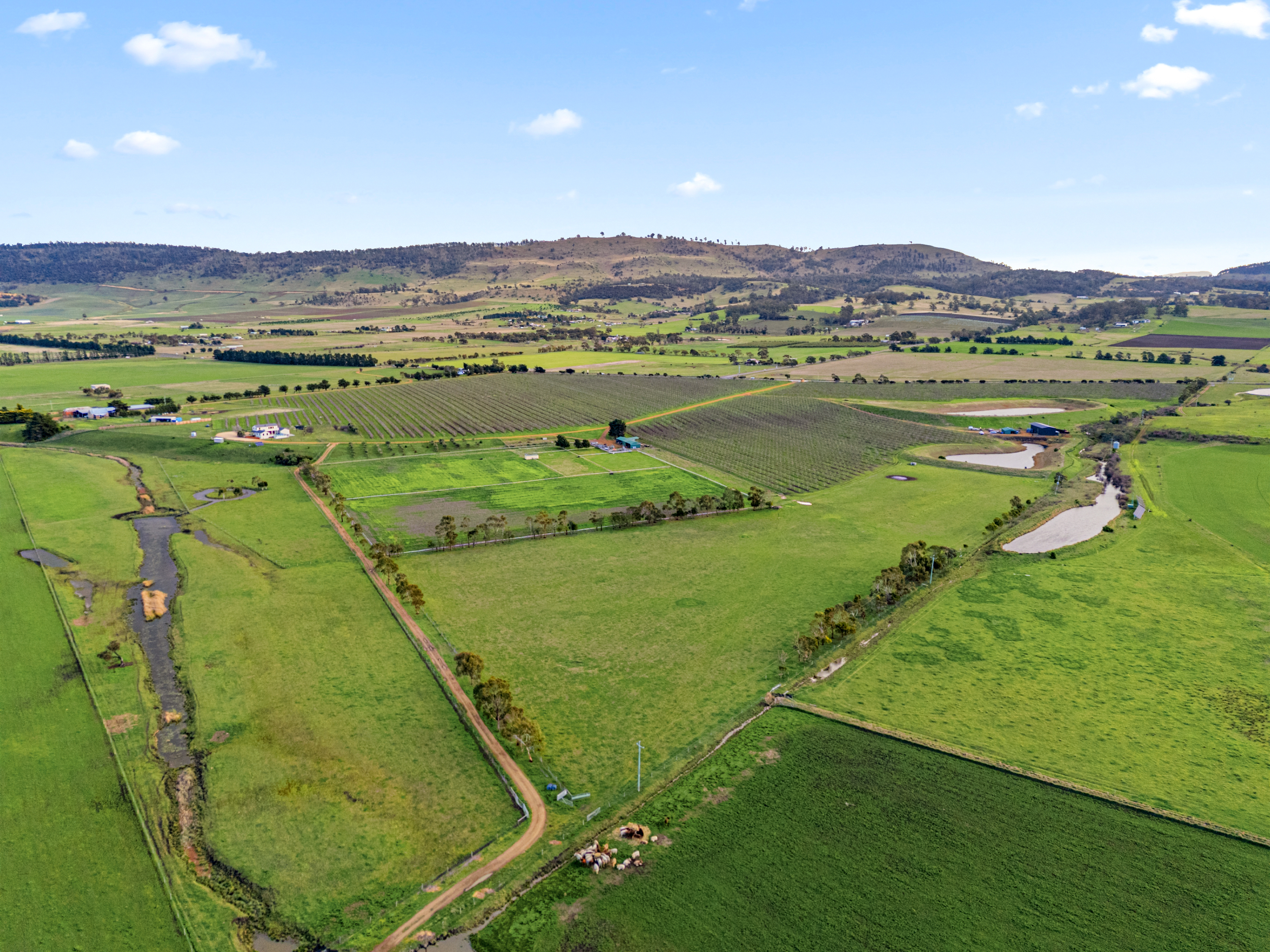 596 Colebrook Road, Campania, TAS, 7026 - Image 24