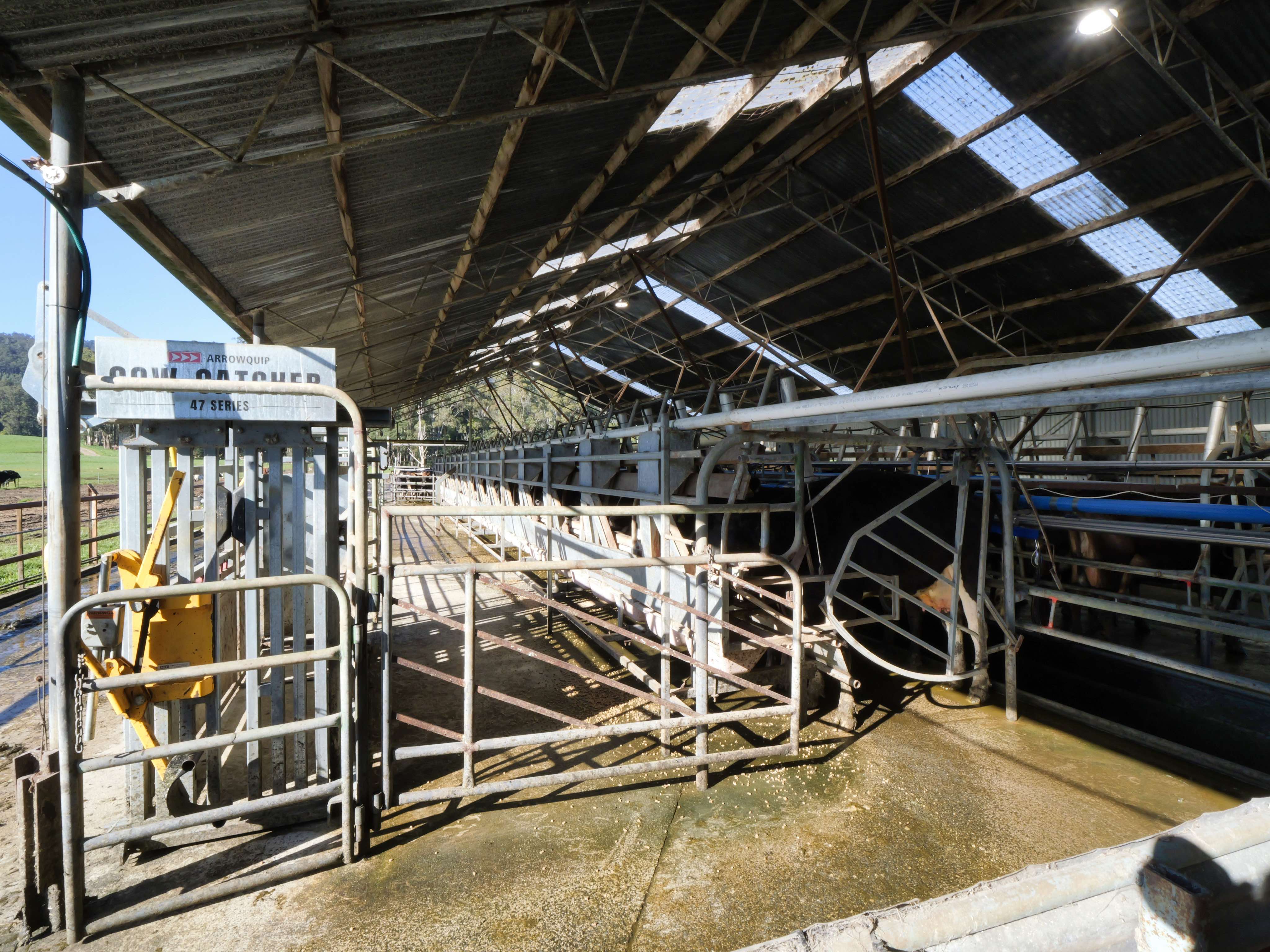 429 Maurice Road, Trenah, TAS, 7263 - Image 8