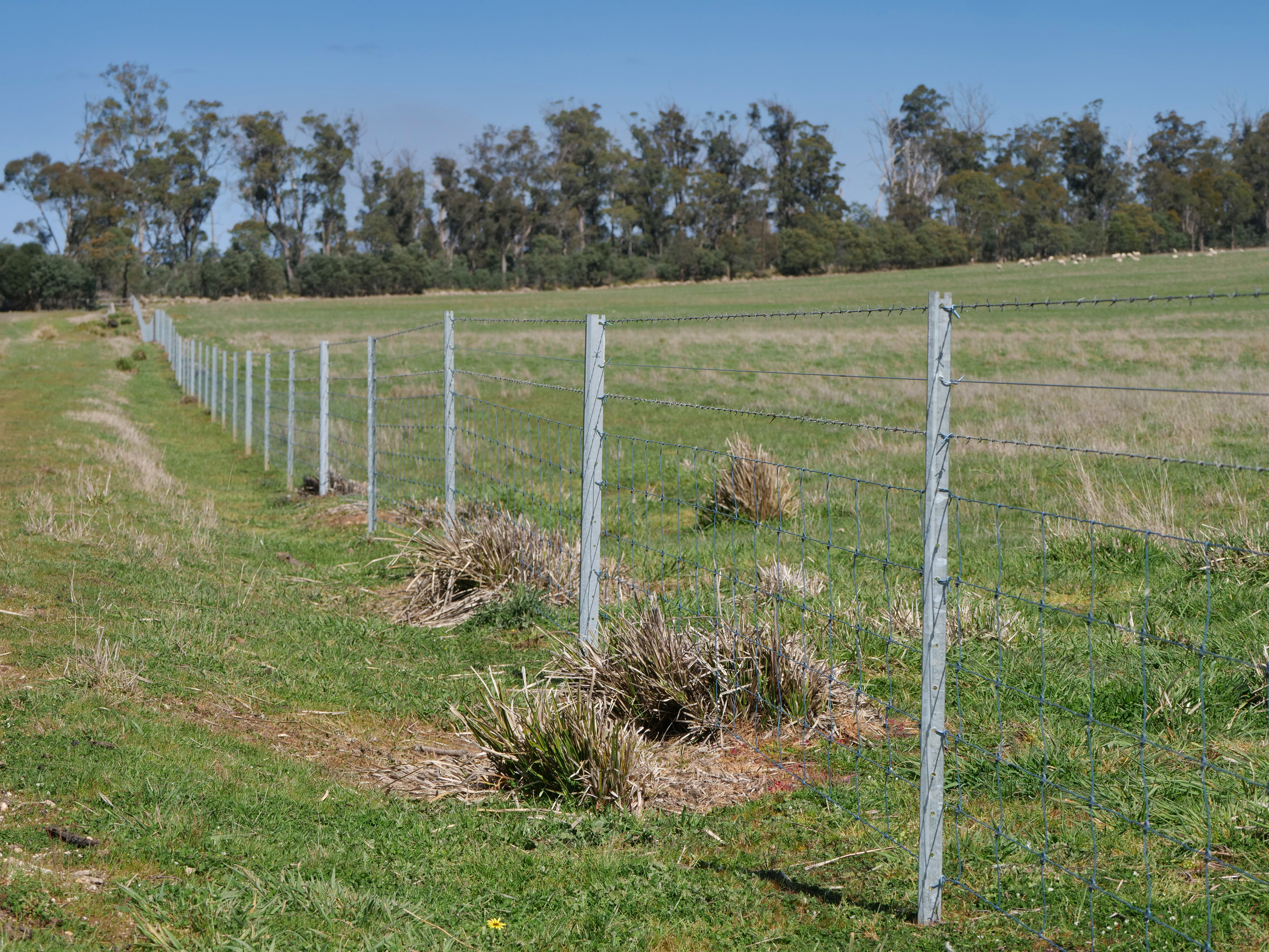 1 Barton Road, Epping Forest, TAS, 7211 - Image 9
