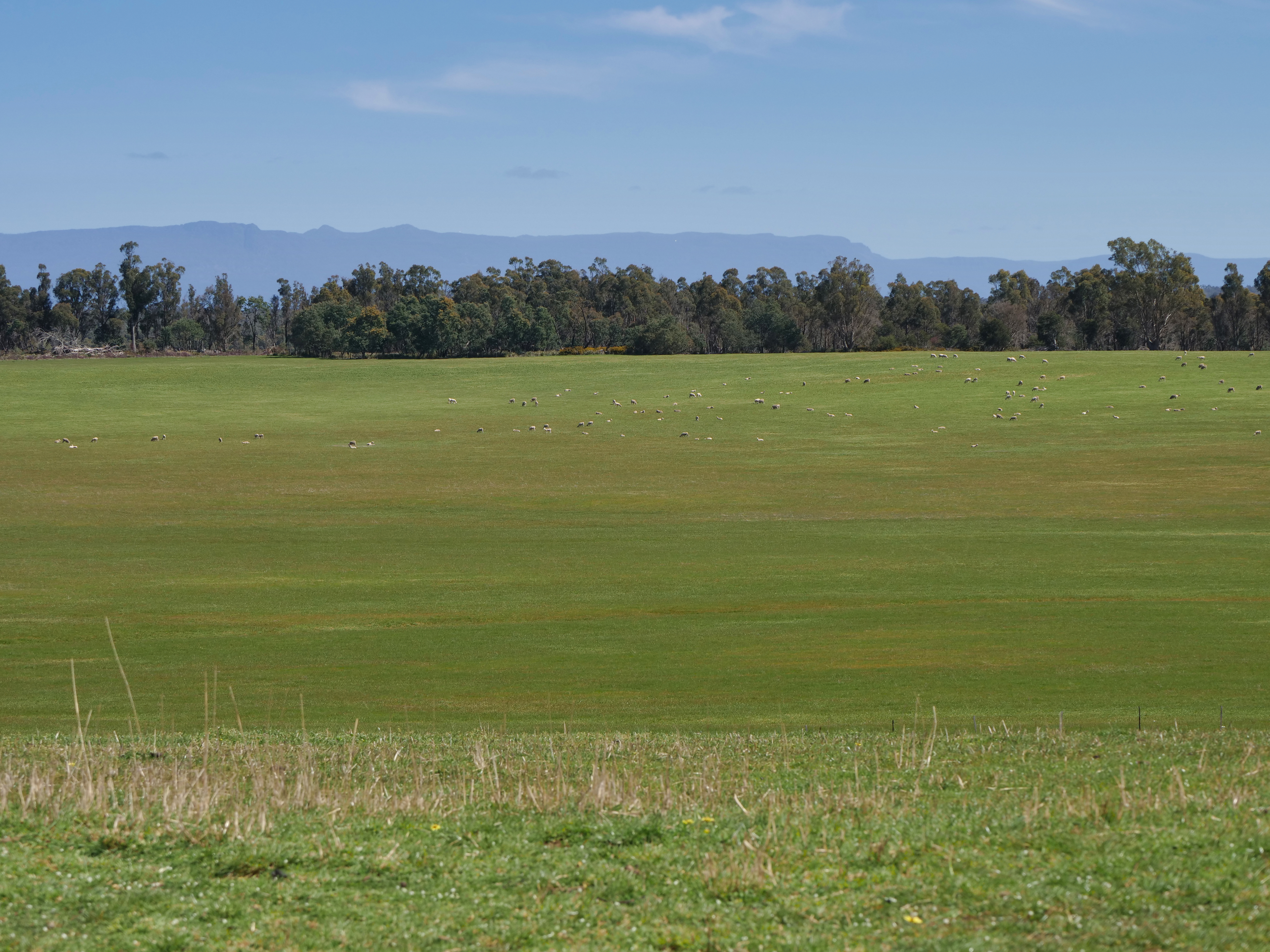 1 Barton Road, Epping Forest, TAS, 7211 - Image 8