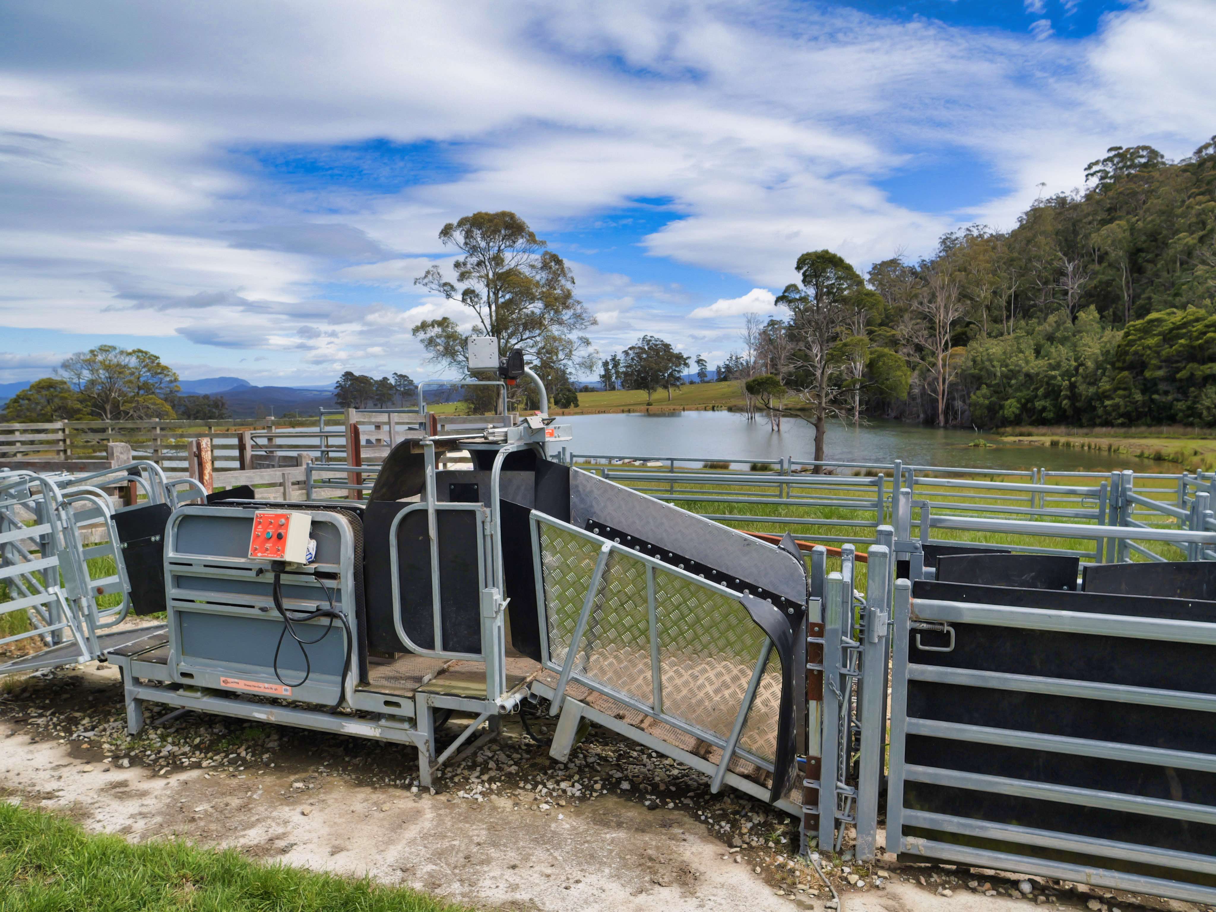 983 Bogan Road, Golden Valley, TAS, 7304 - Image 8