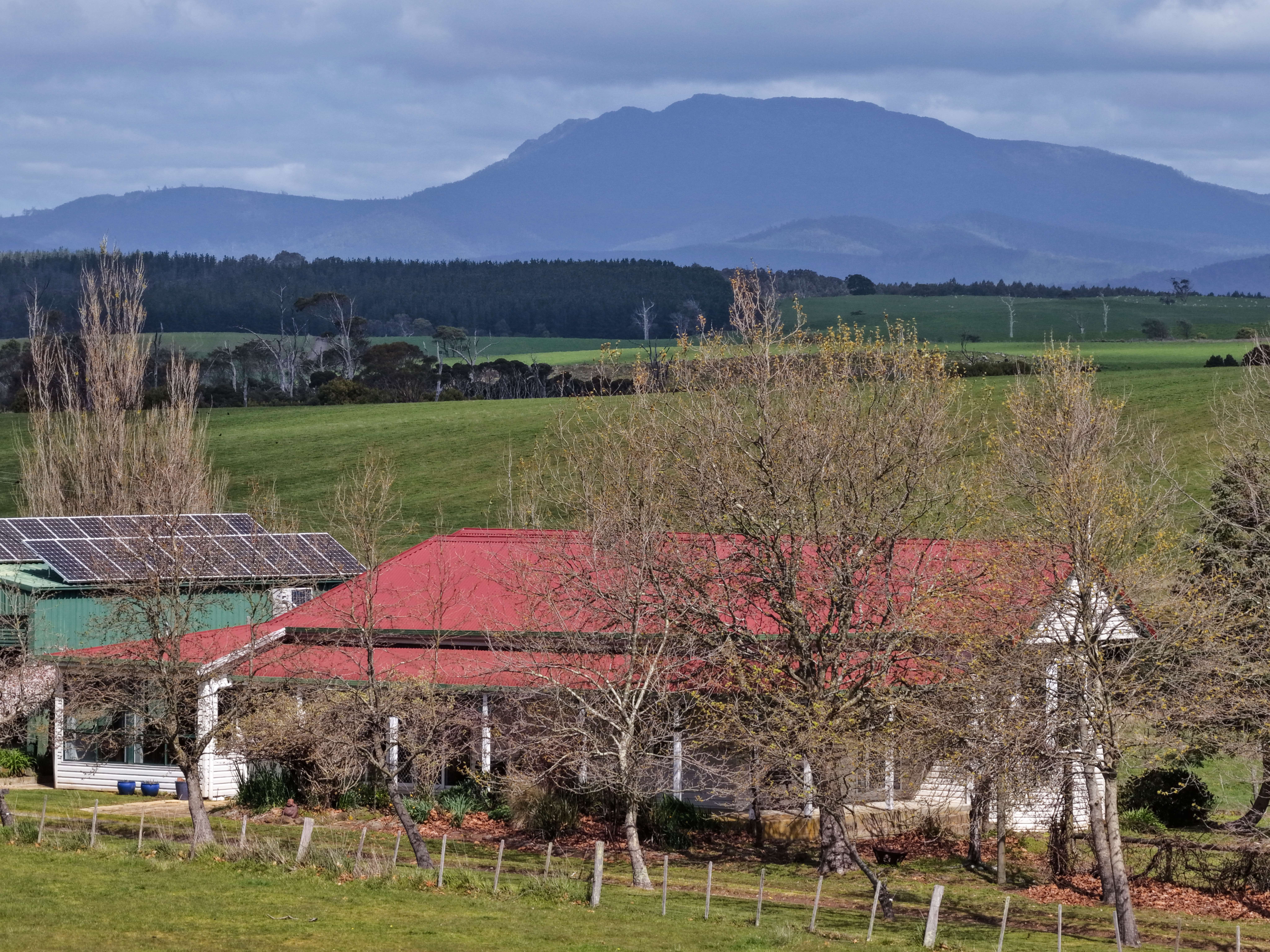 2431 Bridport Road, Bridport, TAS, 7262 - Image 4