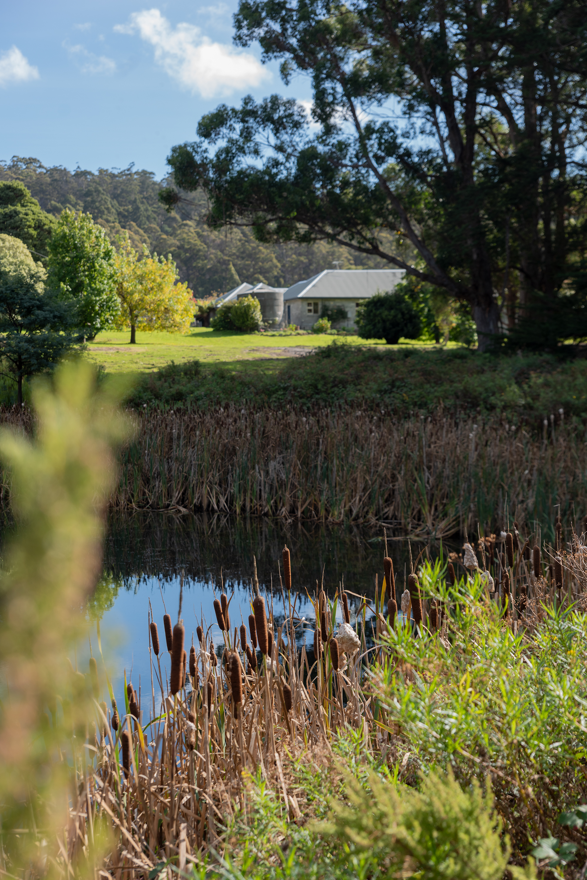 190 Stormlea Road, Nubeena, TAS, 7184 - Image 10