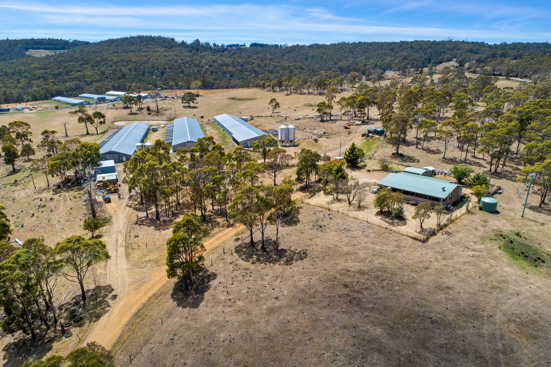 1461 Nugent Road, Nugent, TAS, 7172 - Image 9