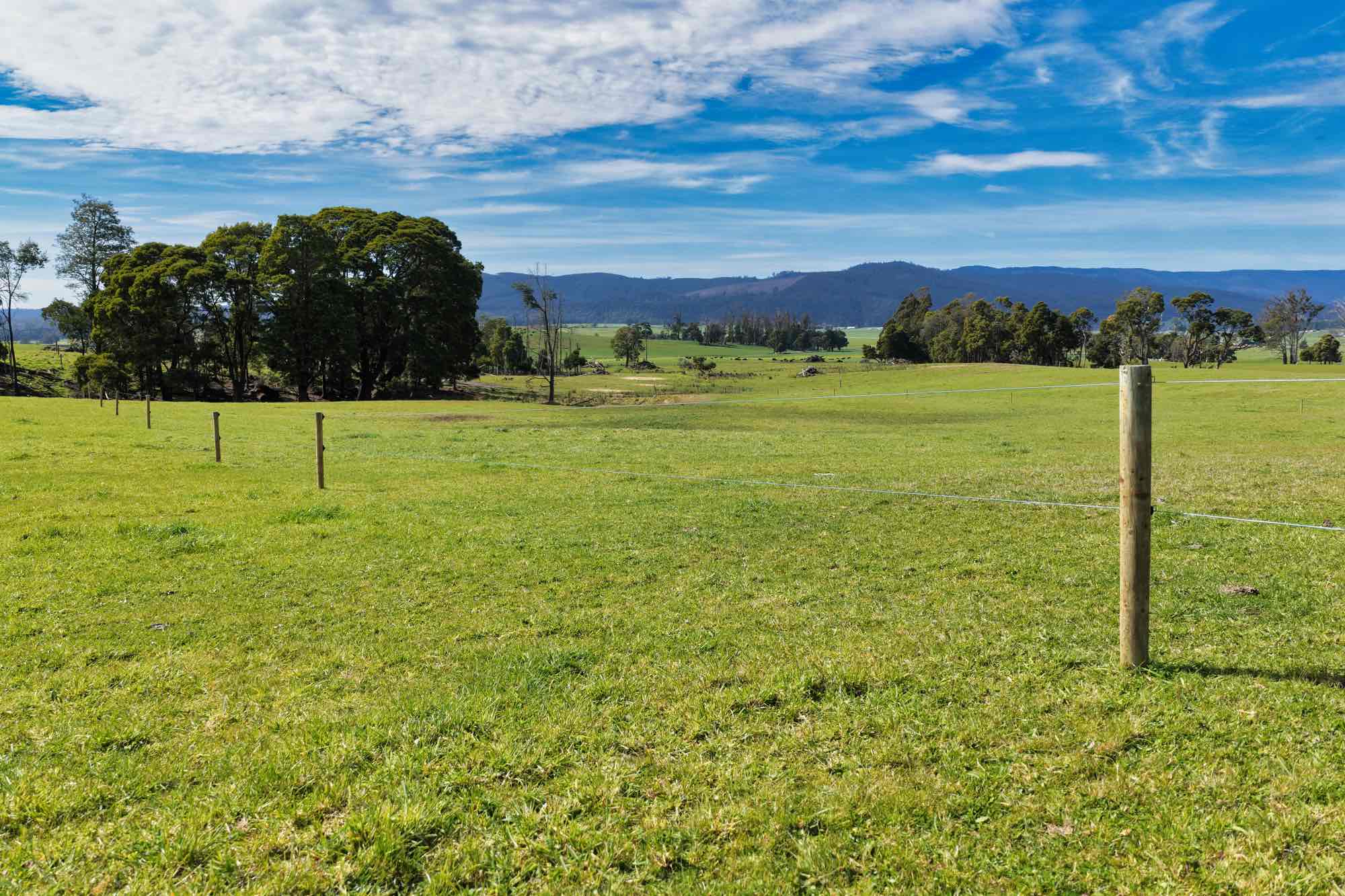 Lot/33317 Tasman Hwy, Legerwood, TAS, 7263 - Image 10