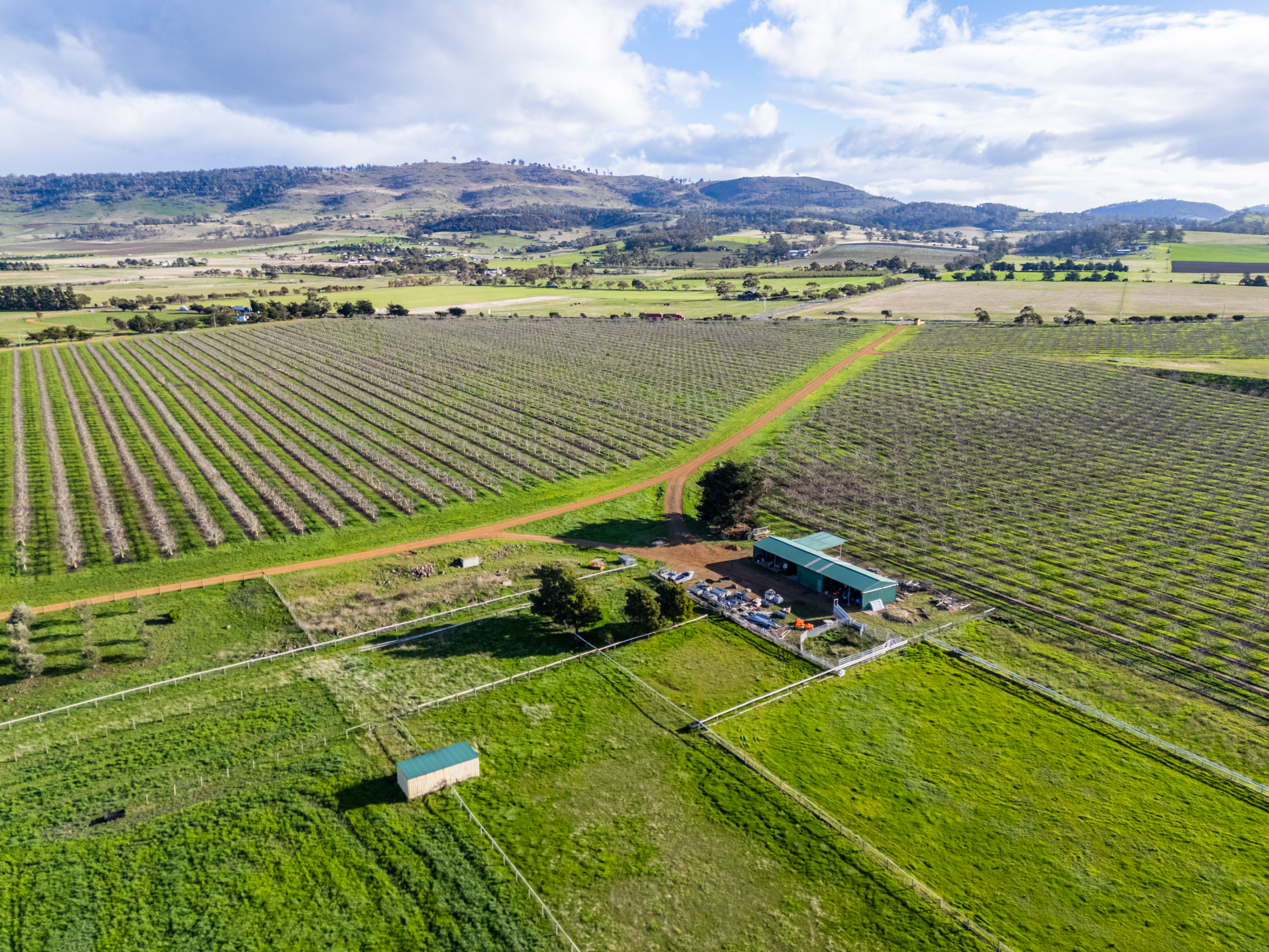 596 Colebrook Road, Campania, TAS, 7026 - Image 16