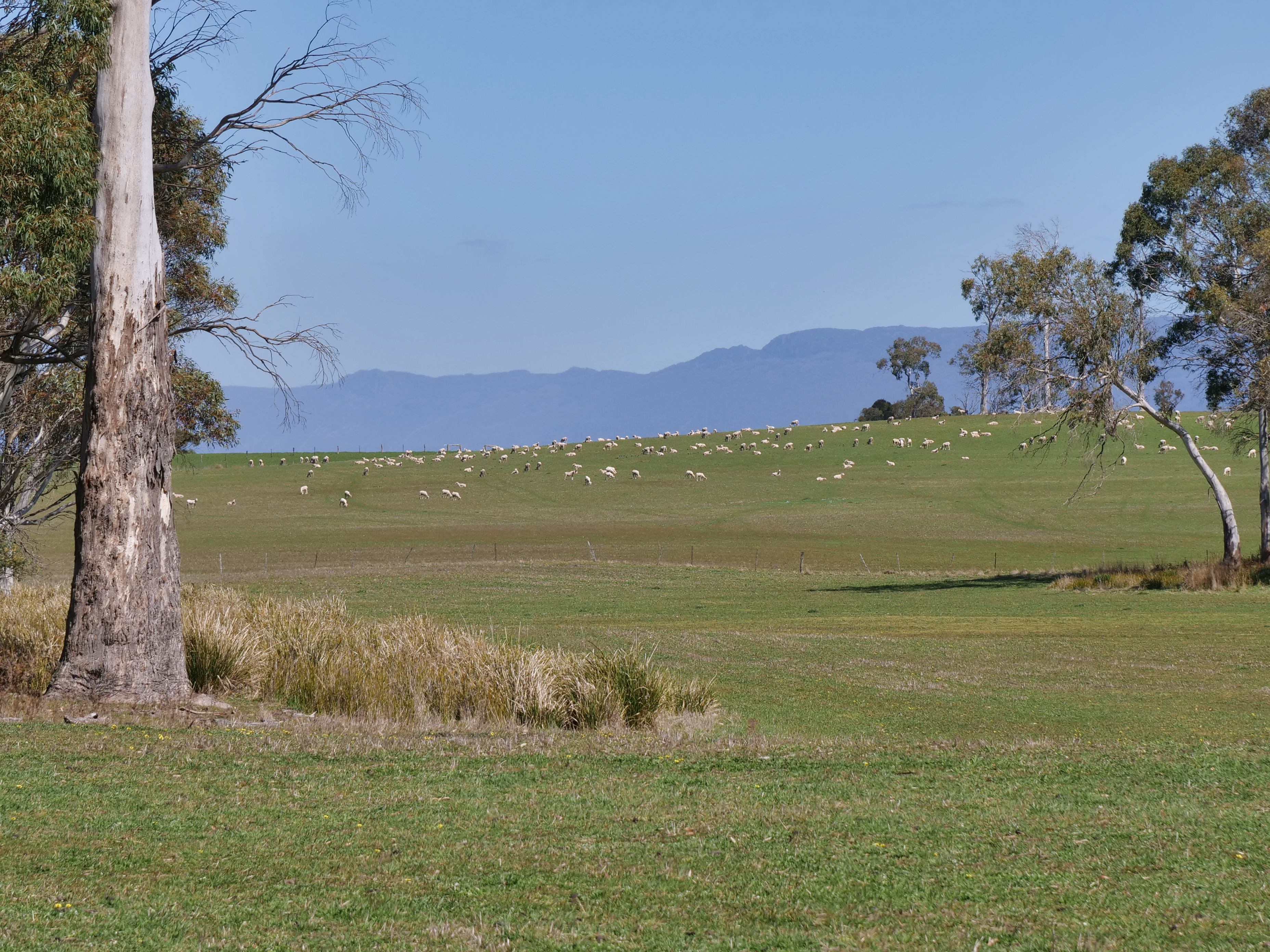 1 Barton Road, Epping Forest, TAS, 7211 - Image 6
