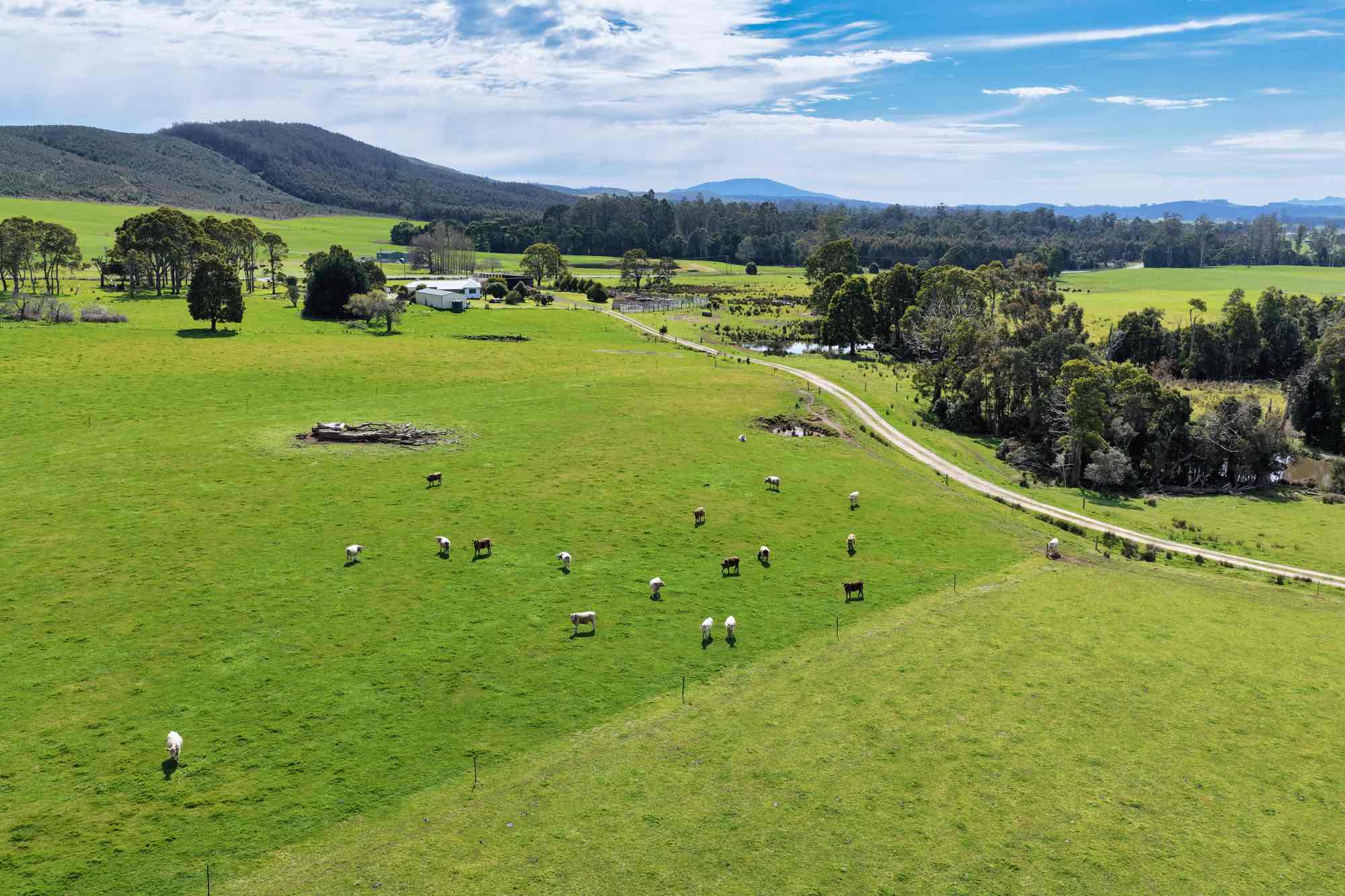 Lot/33317 Tasman Hwy, Legerwood, TAS, 7263 - Image 7