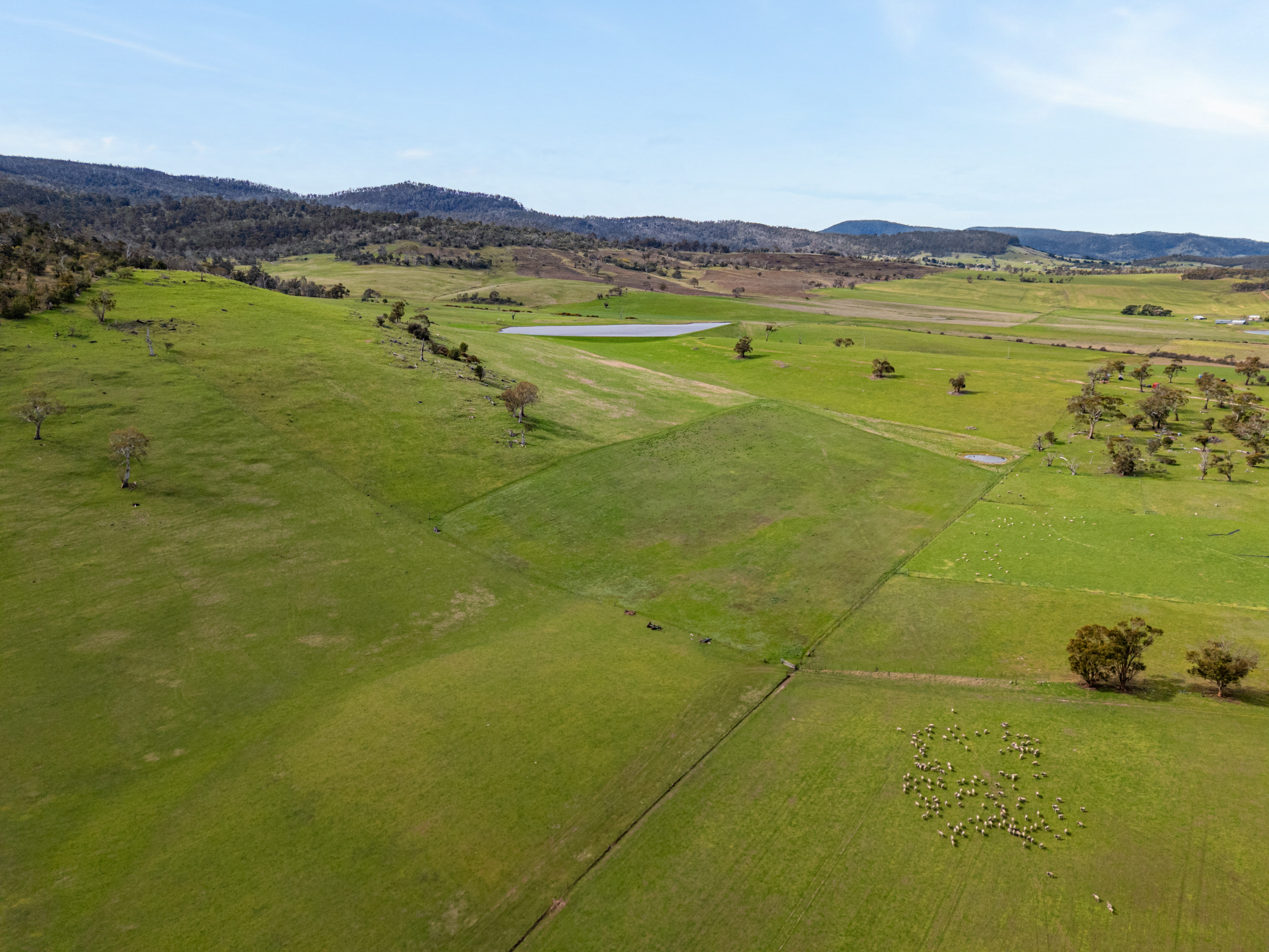 669 Black Brush Road, Broadmarsh, TAS, 7030 - Image 4
