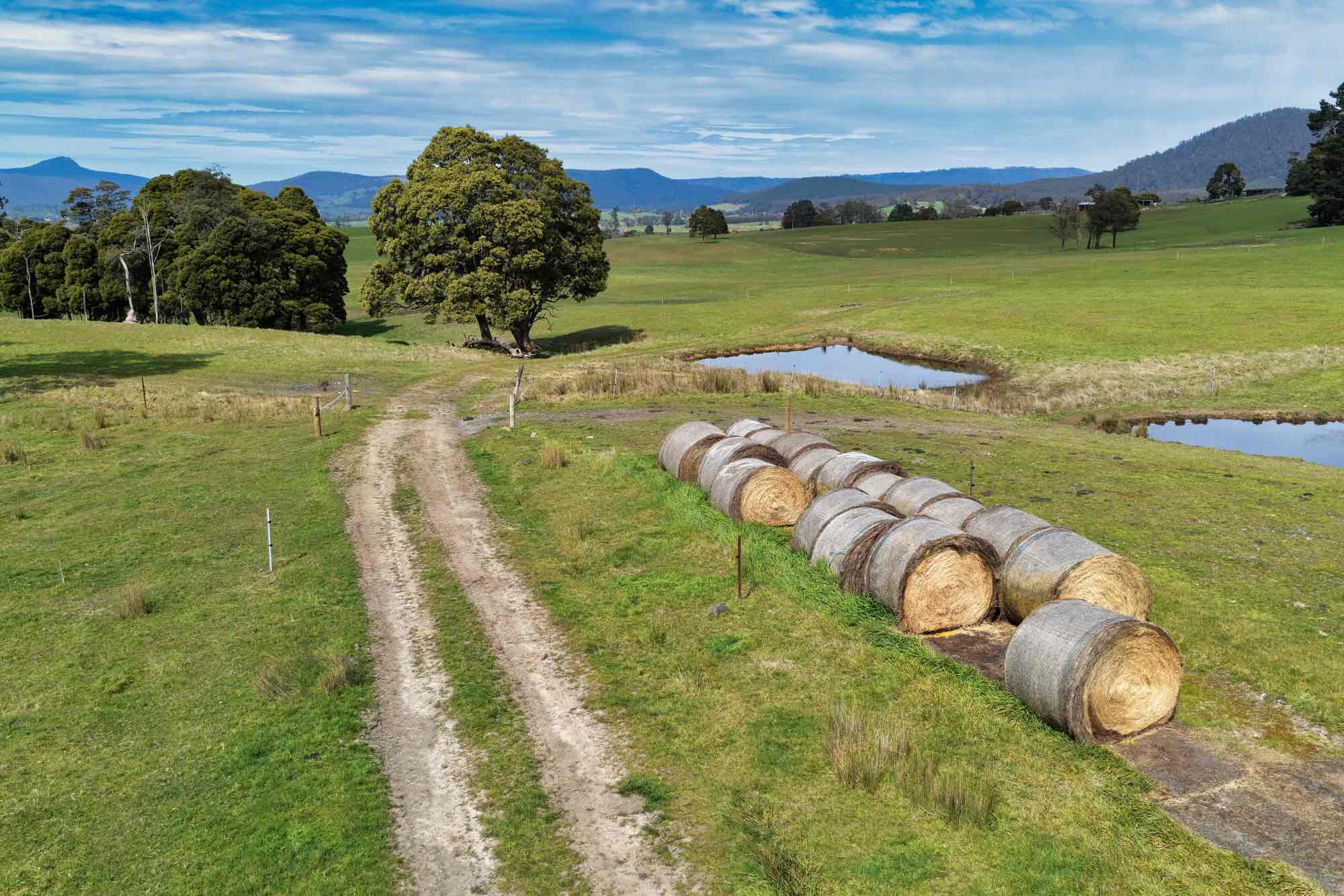 Lot/33317 Tasman Hwy, Legerwood, TAS, 7263 - Image 6