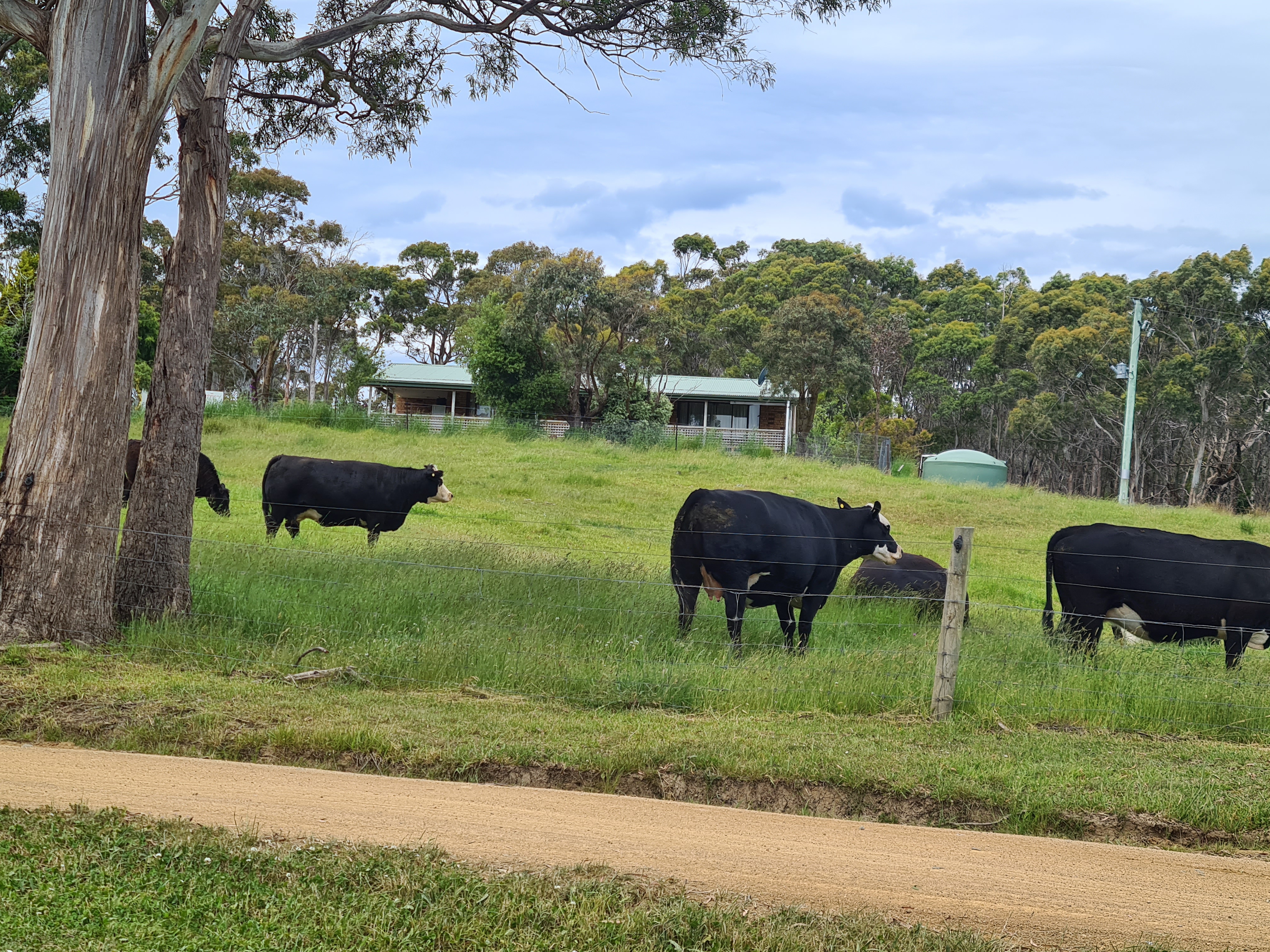 1461 Nugent Road, Nugent, TAS, 7172 - Image 12