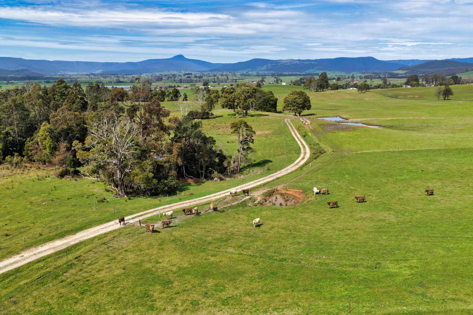 Lot/33317 Tasman Hwy, Legerwood, TAS, 7263 - Image 8