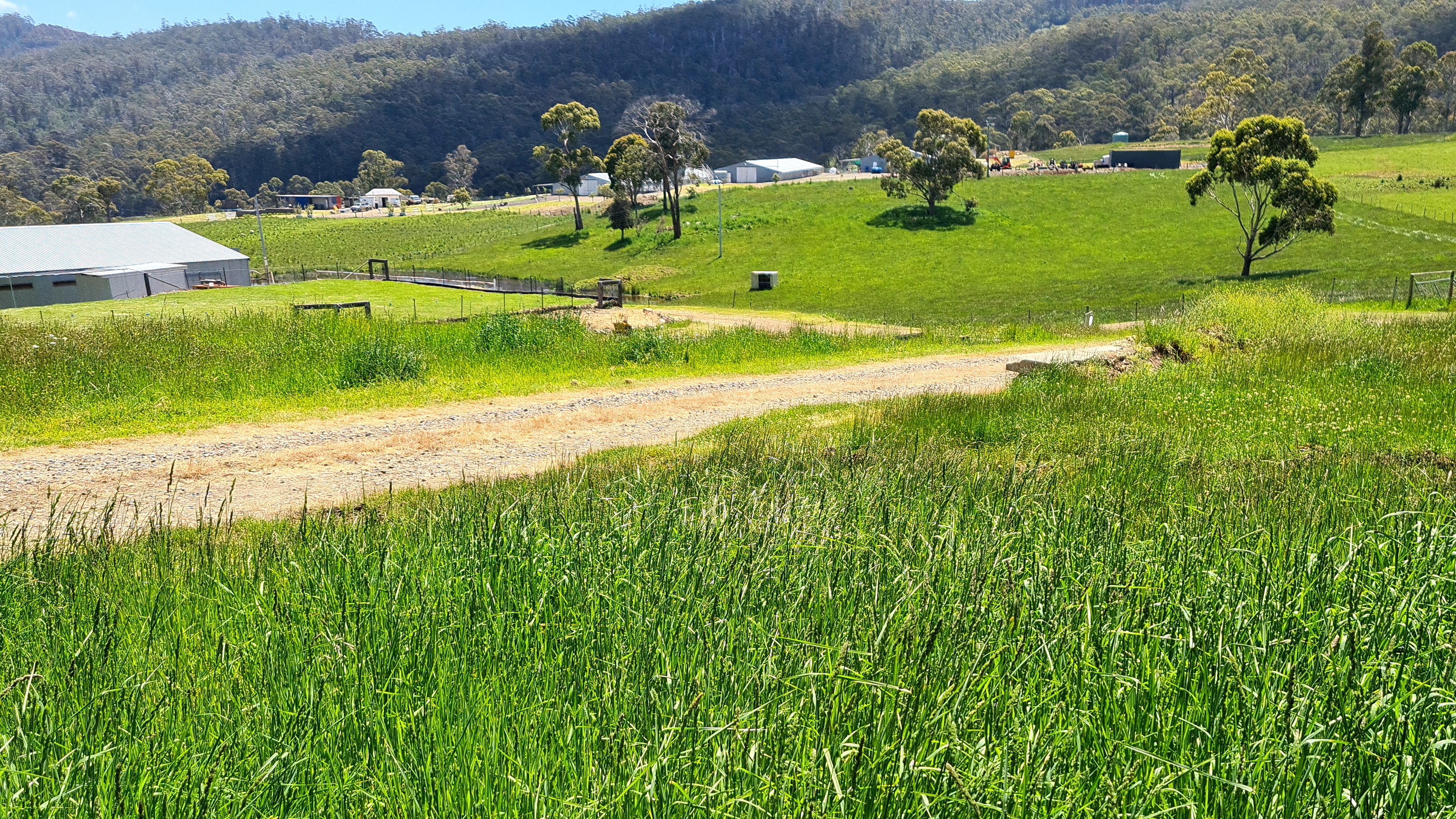 1461 Nugent Road, Nugent, TAS, 7172 - Image 13