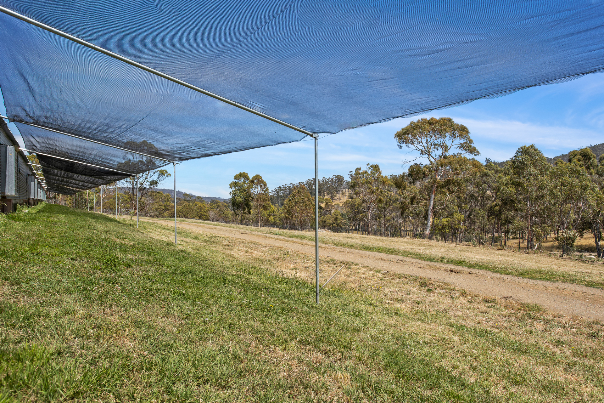 1461 Nugent Road, Nugent, TAS, 7172 - Image 14