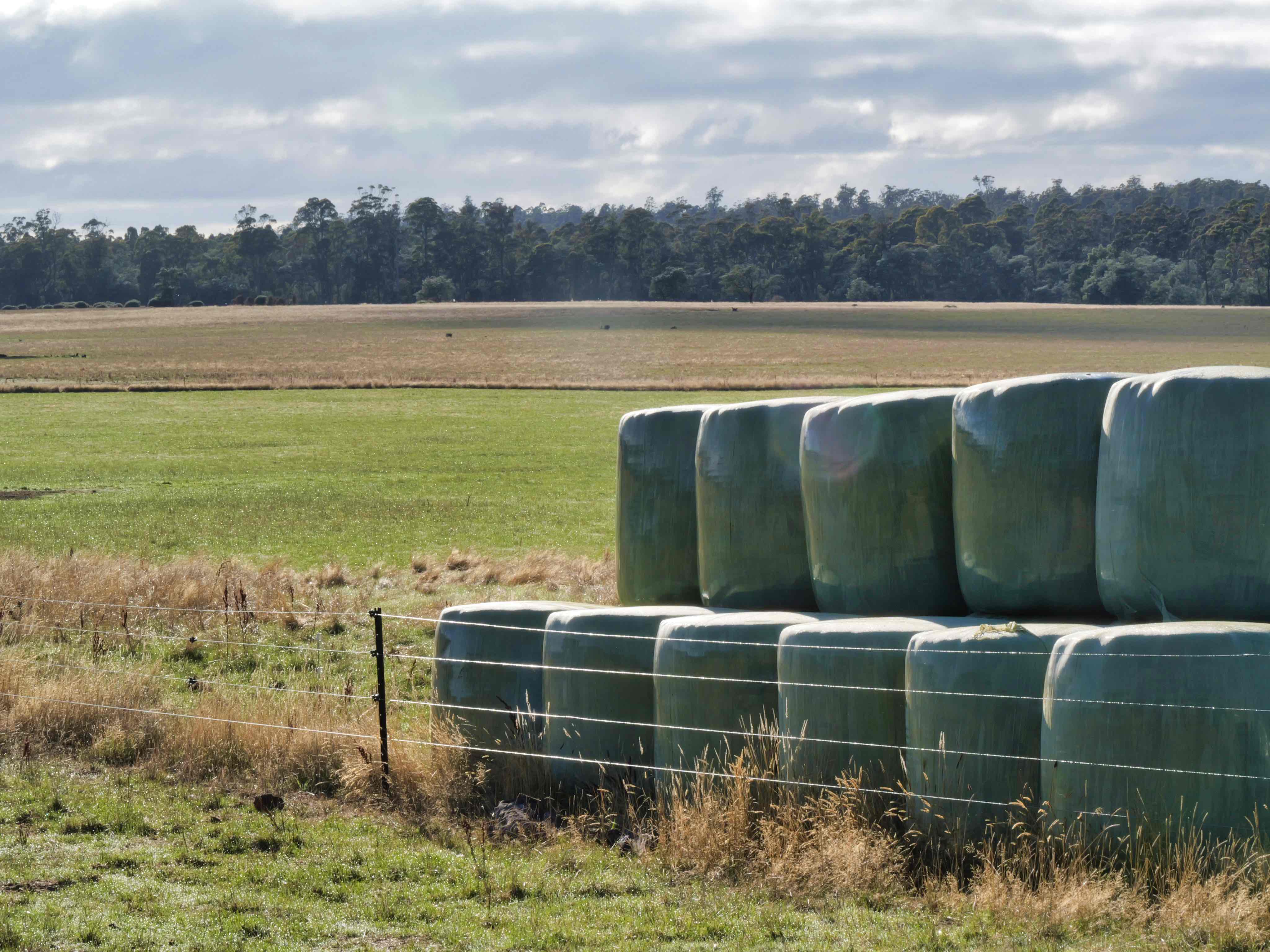 304 Porters Bridge, Exton, TAS, 7303 - Image 6