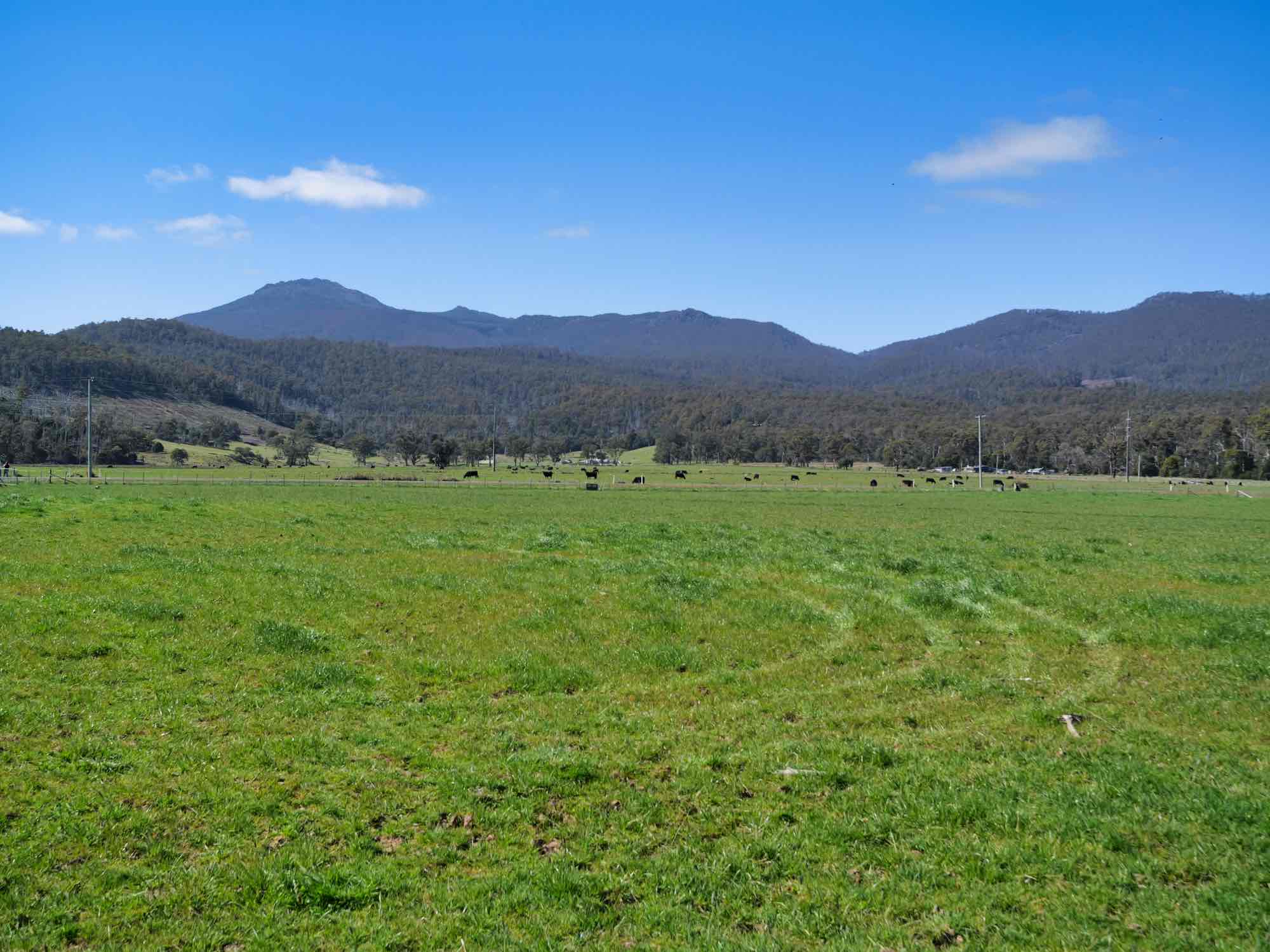 38791 Tasman Highway, Nunamara, TAS, 7259 - Image 3