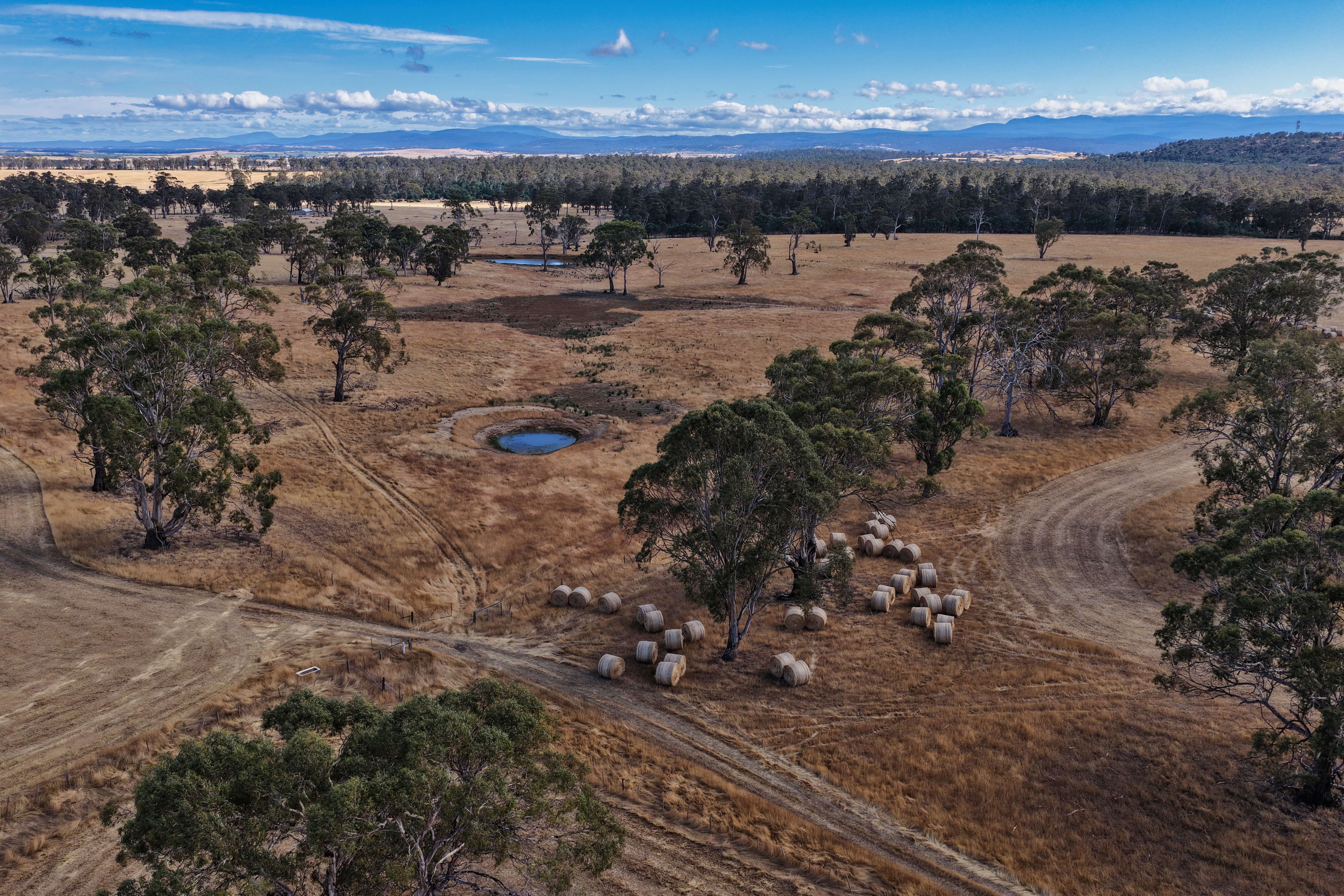 - Leake Street, Cleveland, TAS, 7211 - Image 8