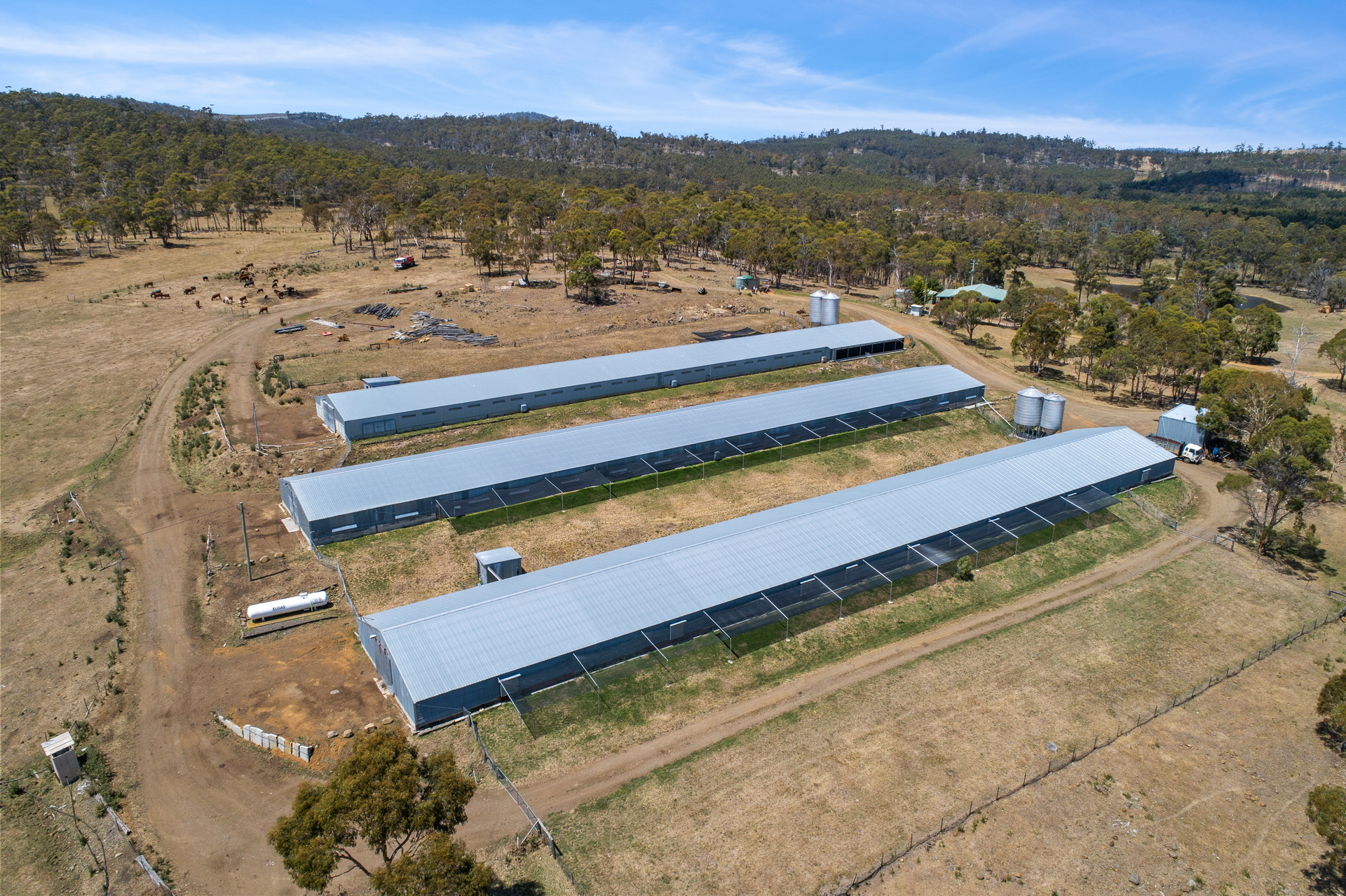 1461 Nugent Road, Nugent, TAS, 7172 - Image 16