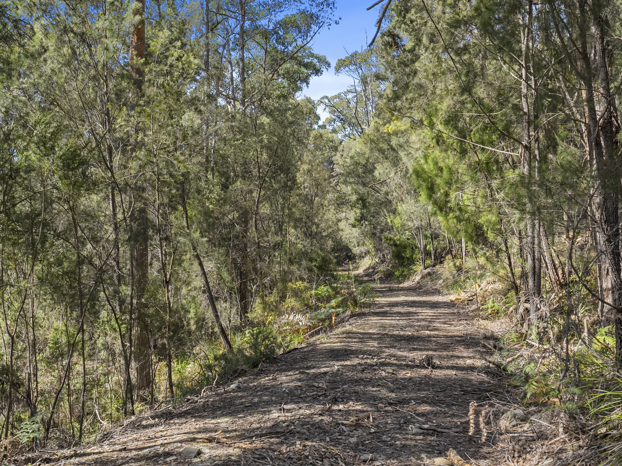 6827 Arthur Highway, Port Arthur, TAS, 7182 - Image 22