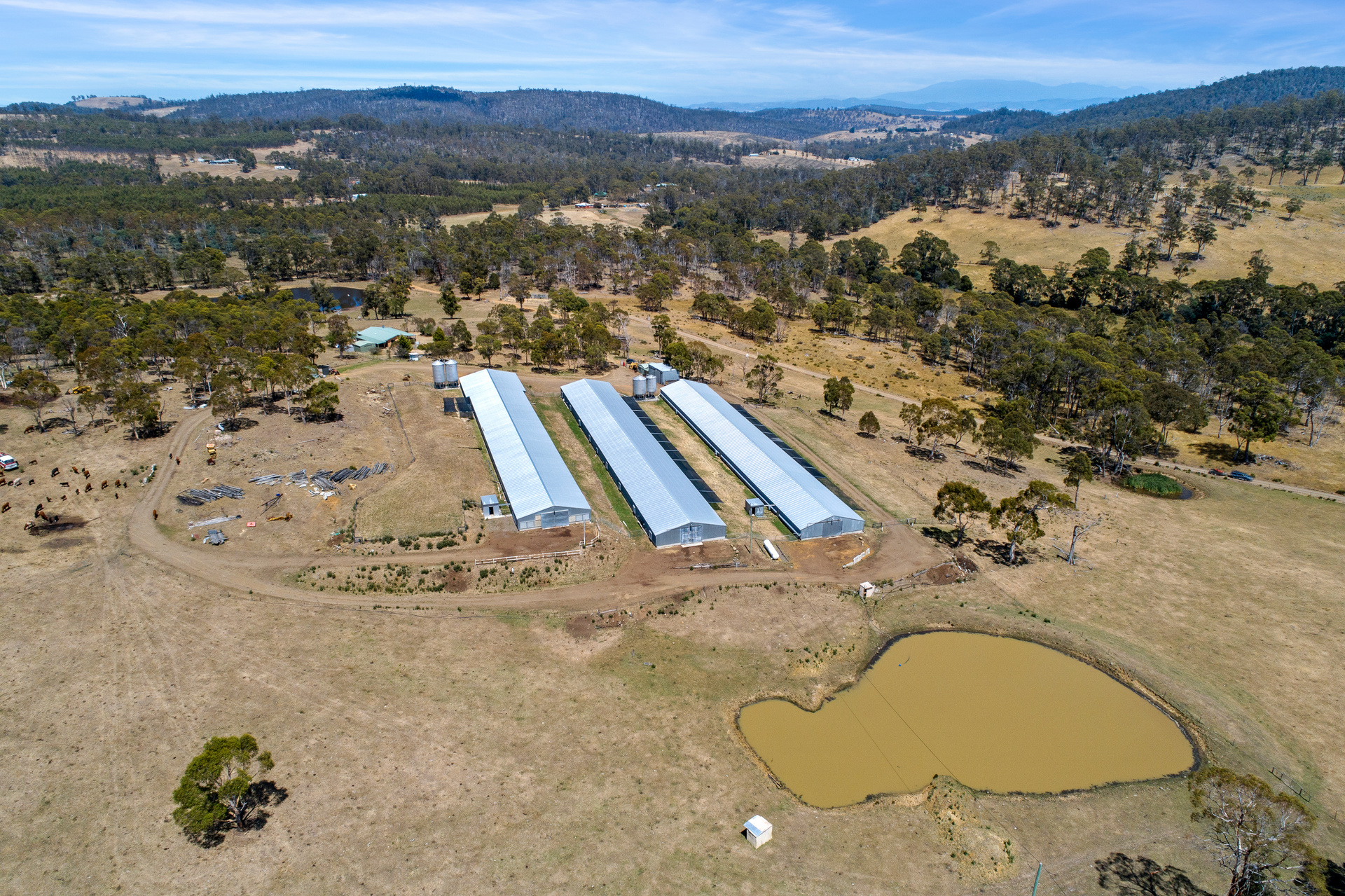 1461 Nugent Road, Nugent, TAS, 7172 - Image 17