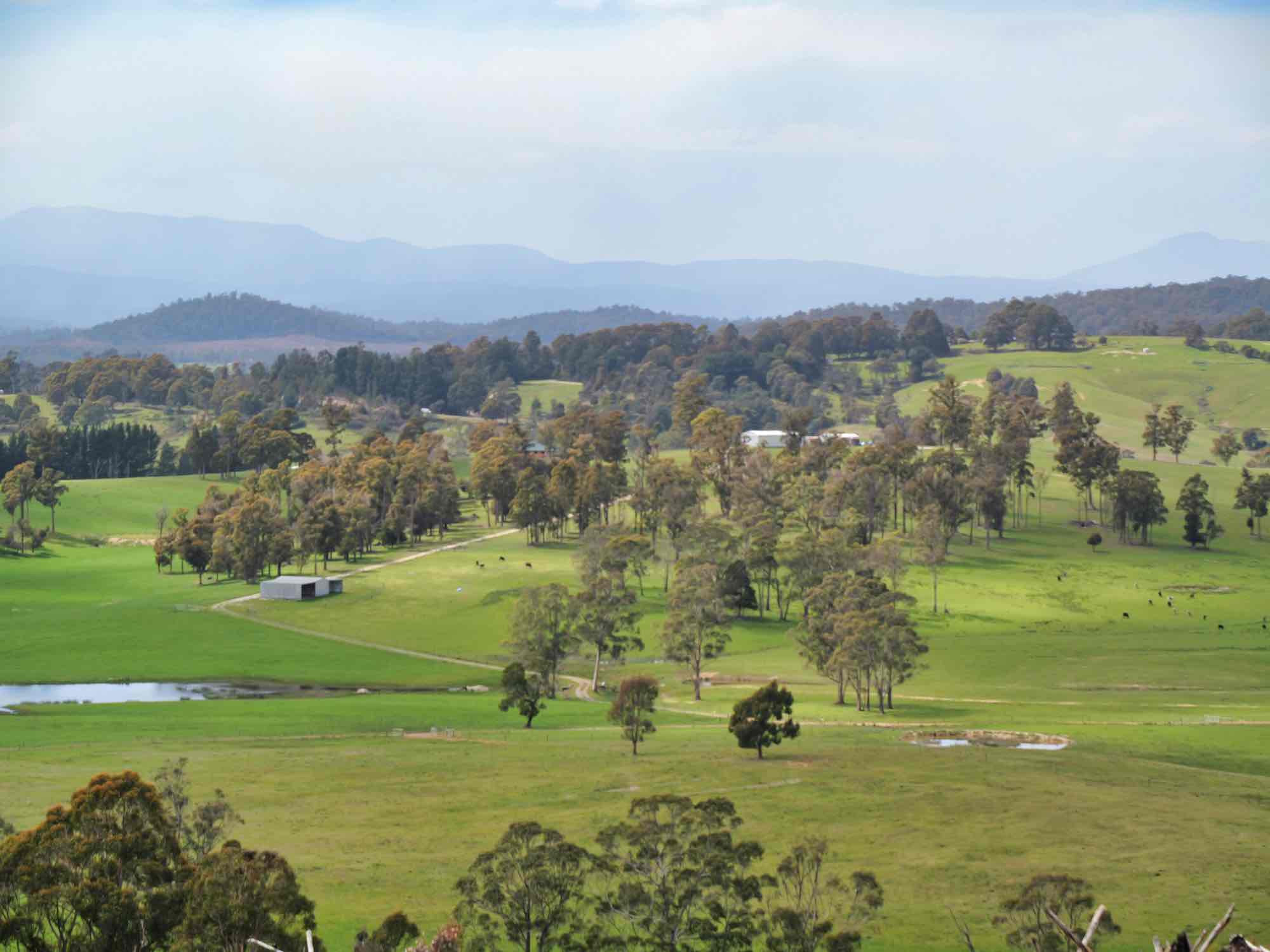 29 Glengarry Road, Glengarry, TAS, 7275 - Image 6