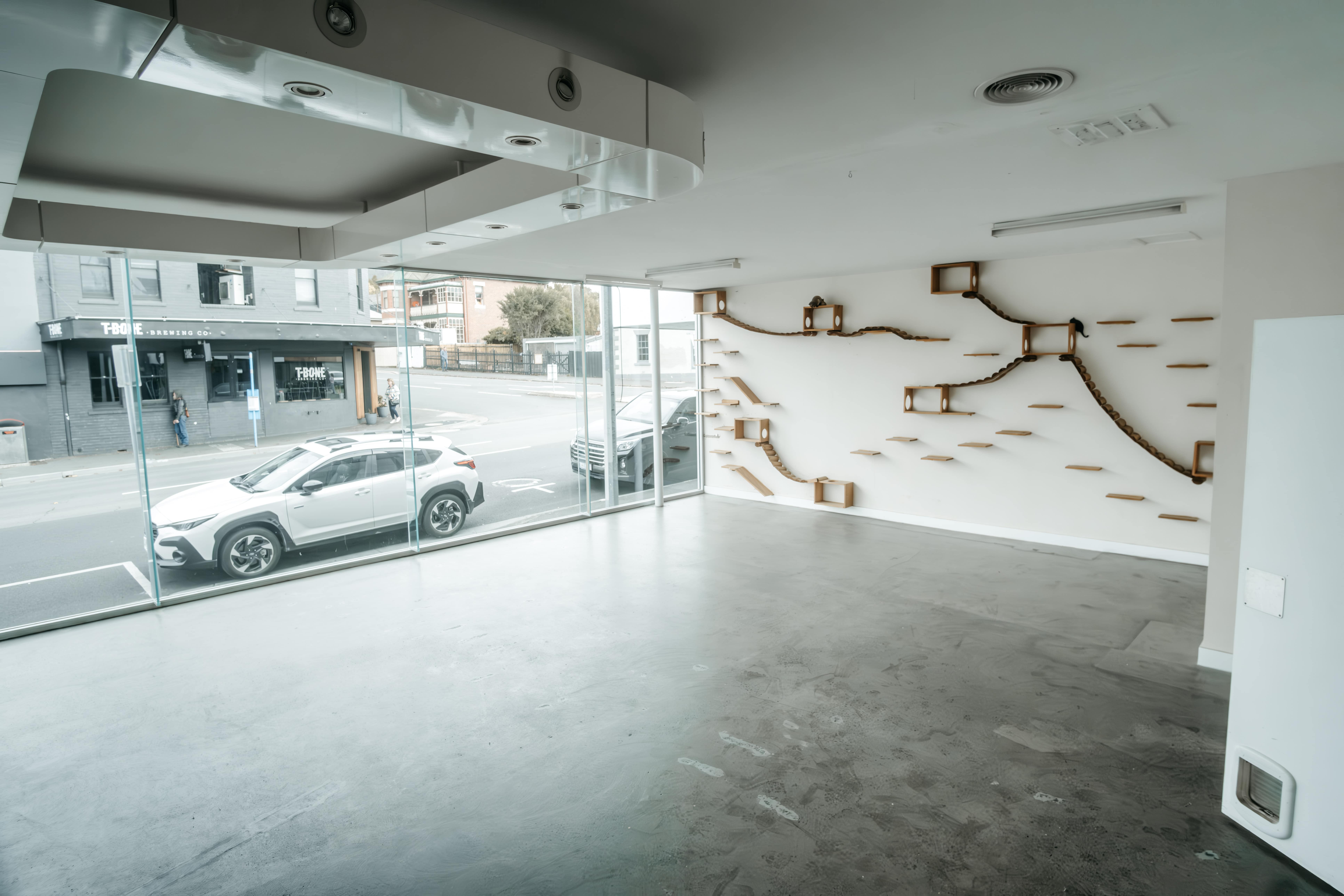 Suite A/265-269 Elizabeth Street, North Hobart, TAS, 7000 - Image 5