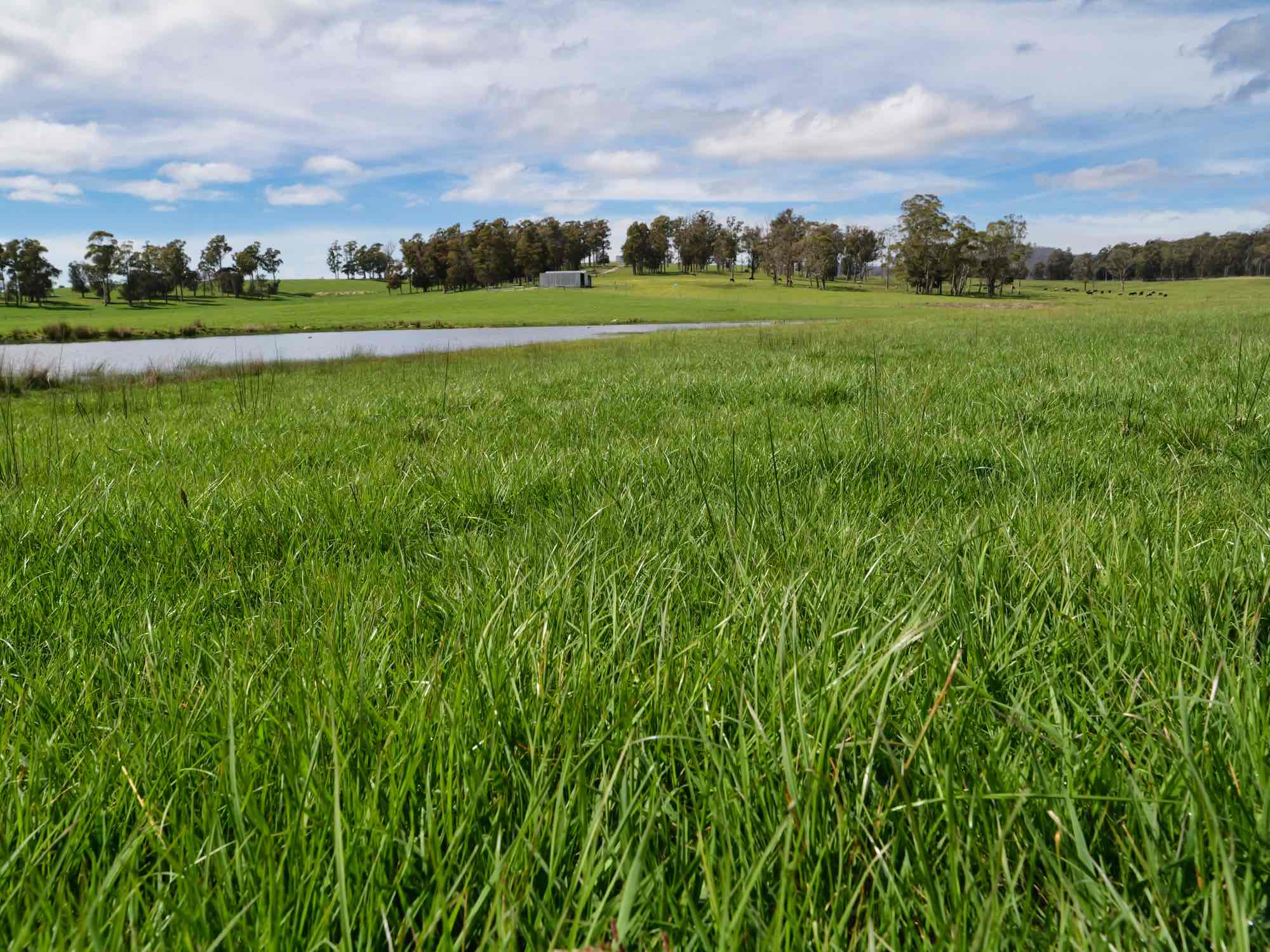 29 Glengarry Road, Glengarry, TAS, 7275 - Image 8