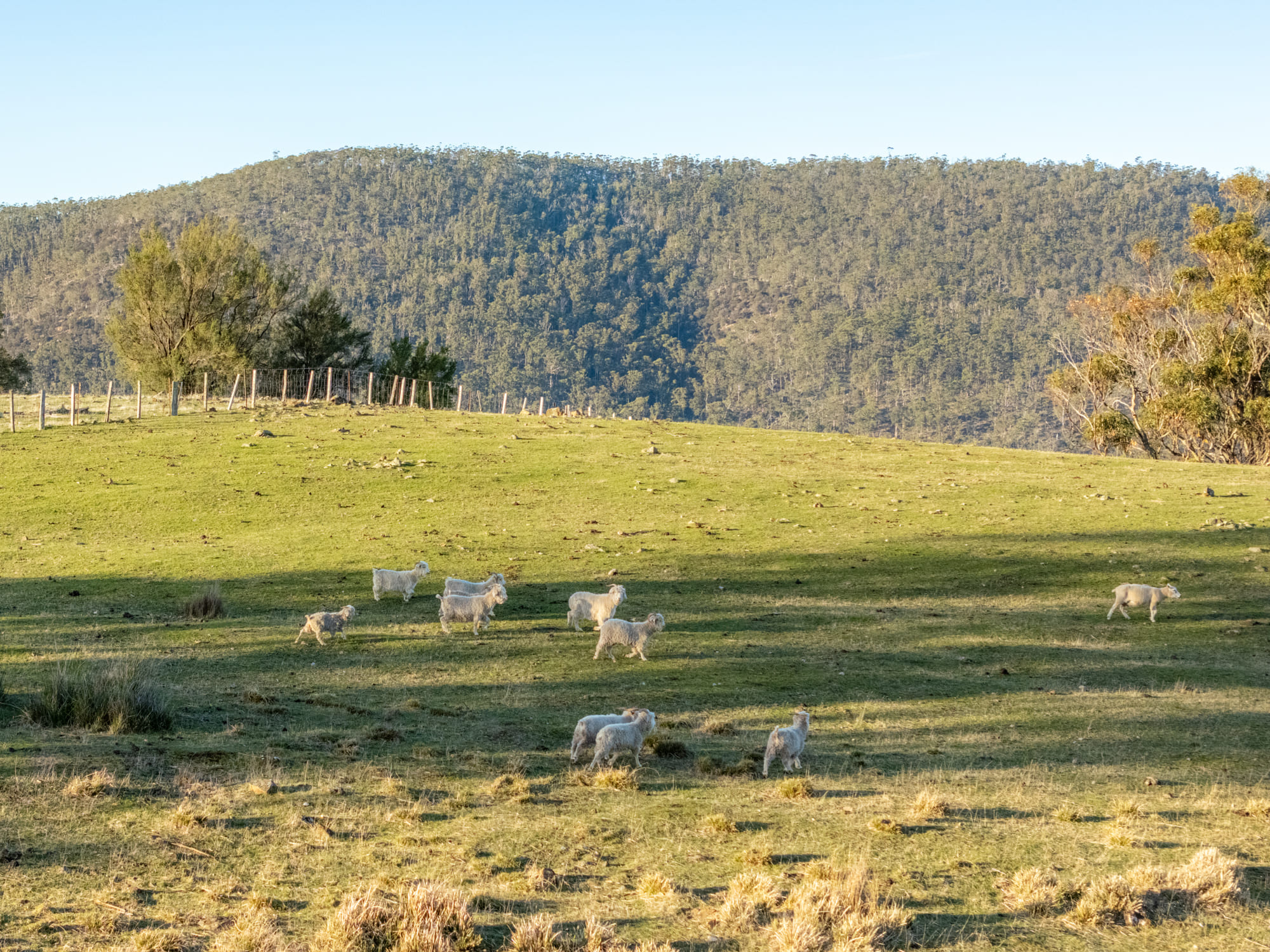 199 Williams Road, Tea Tree, TAS, 7017 - Image 20