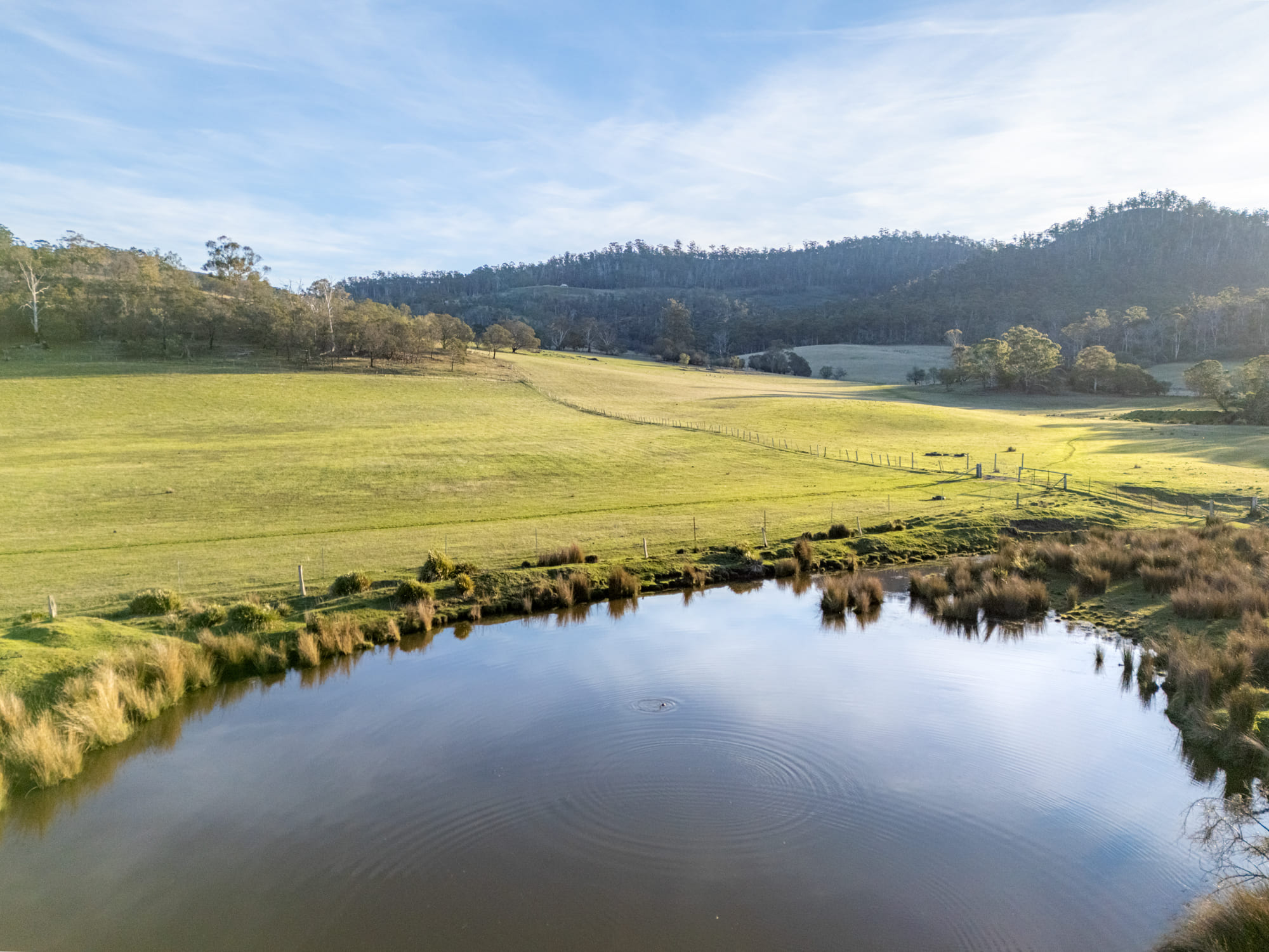 199 Williams Road, Tea Tree, TAS, 7017 - Image 22