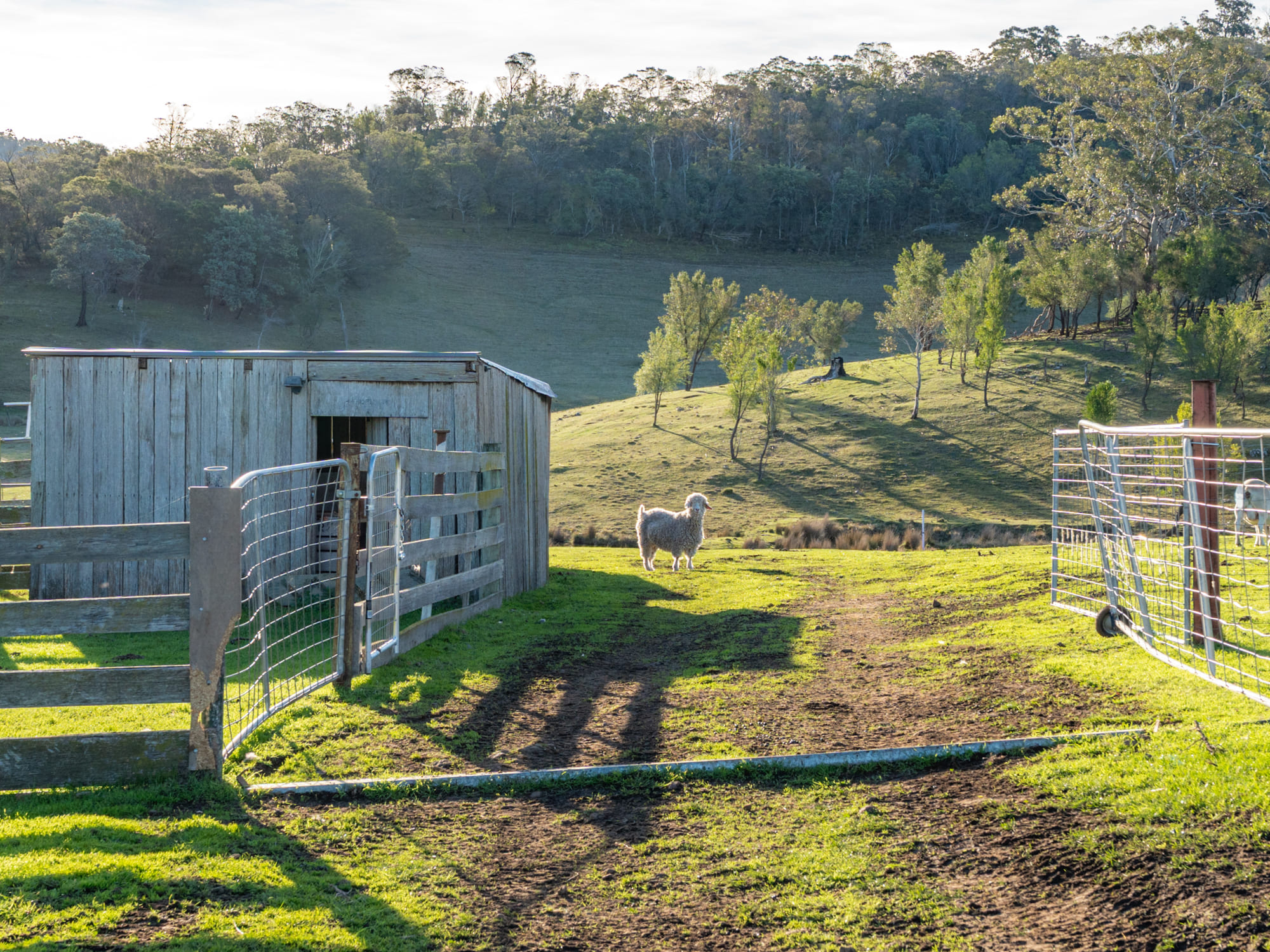 199 Williams Road, Tea Tree, TAS, 7017 - Image 23