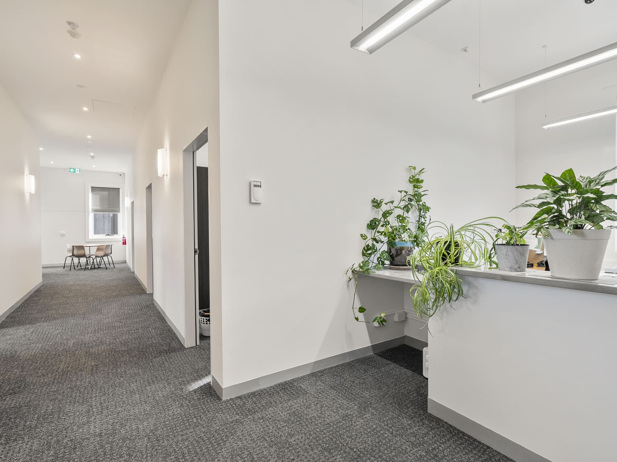 Level 1 Suite 10/10-12 The Avenue, New Norfolk, TAS, 7140