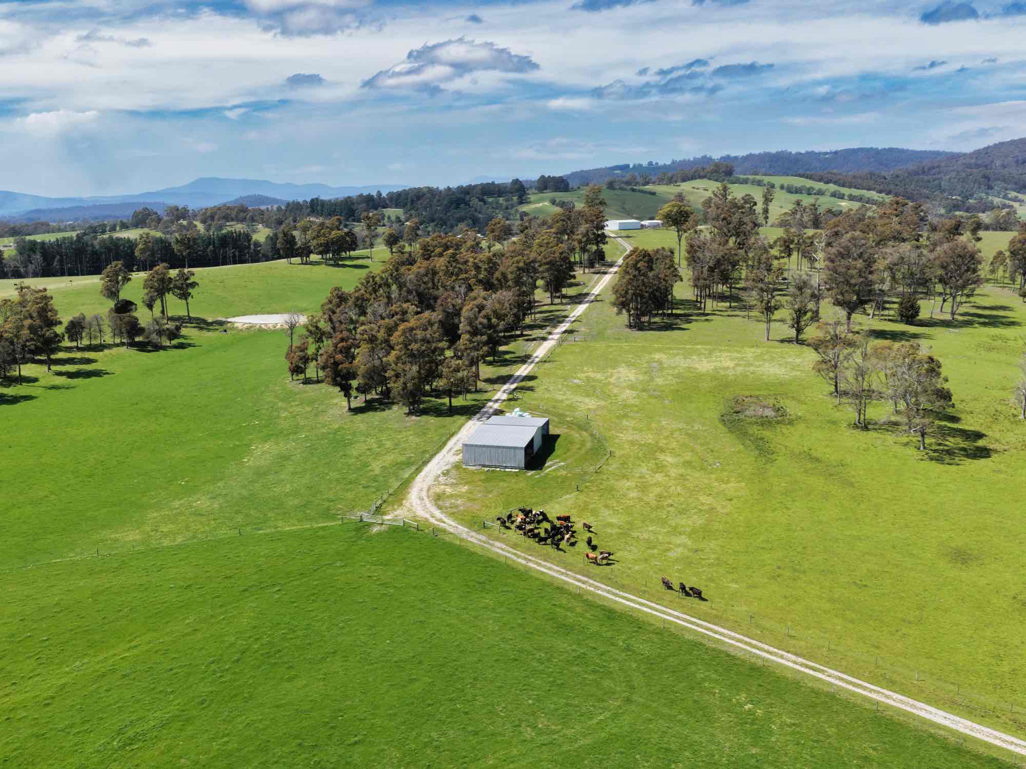 29 Glengarry Road, Glengarry, TAS, 7275 - Image 1