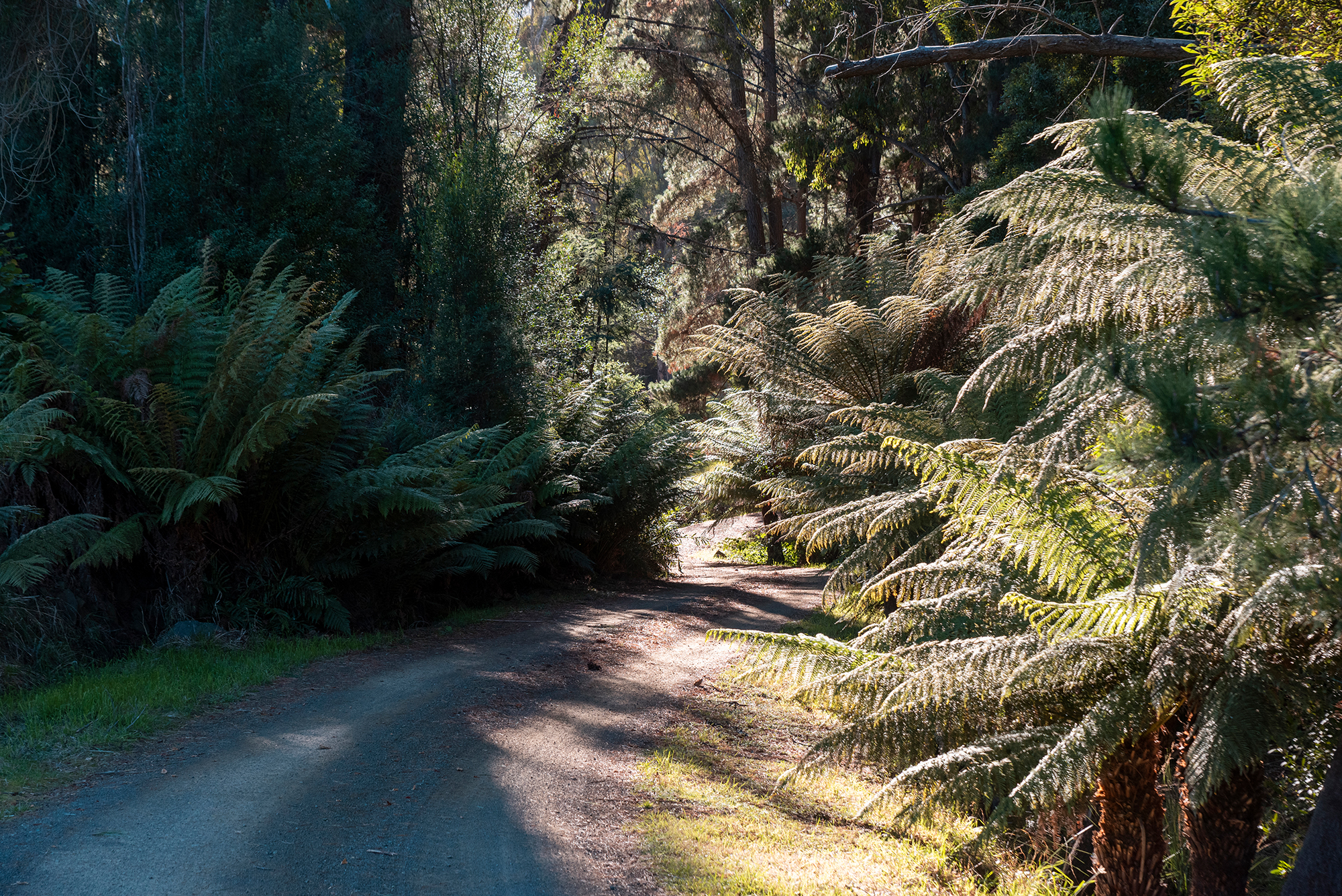 190 Stormlea Road, Nubeena, TAS, 7184 - Image 32