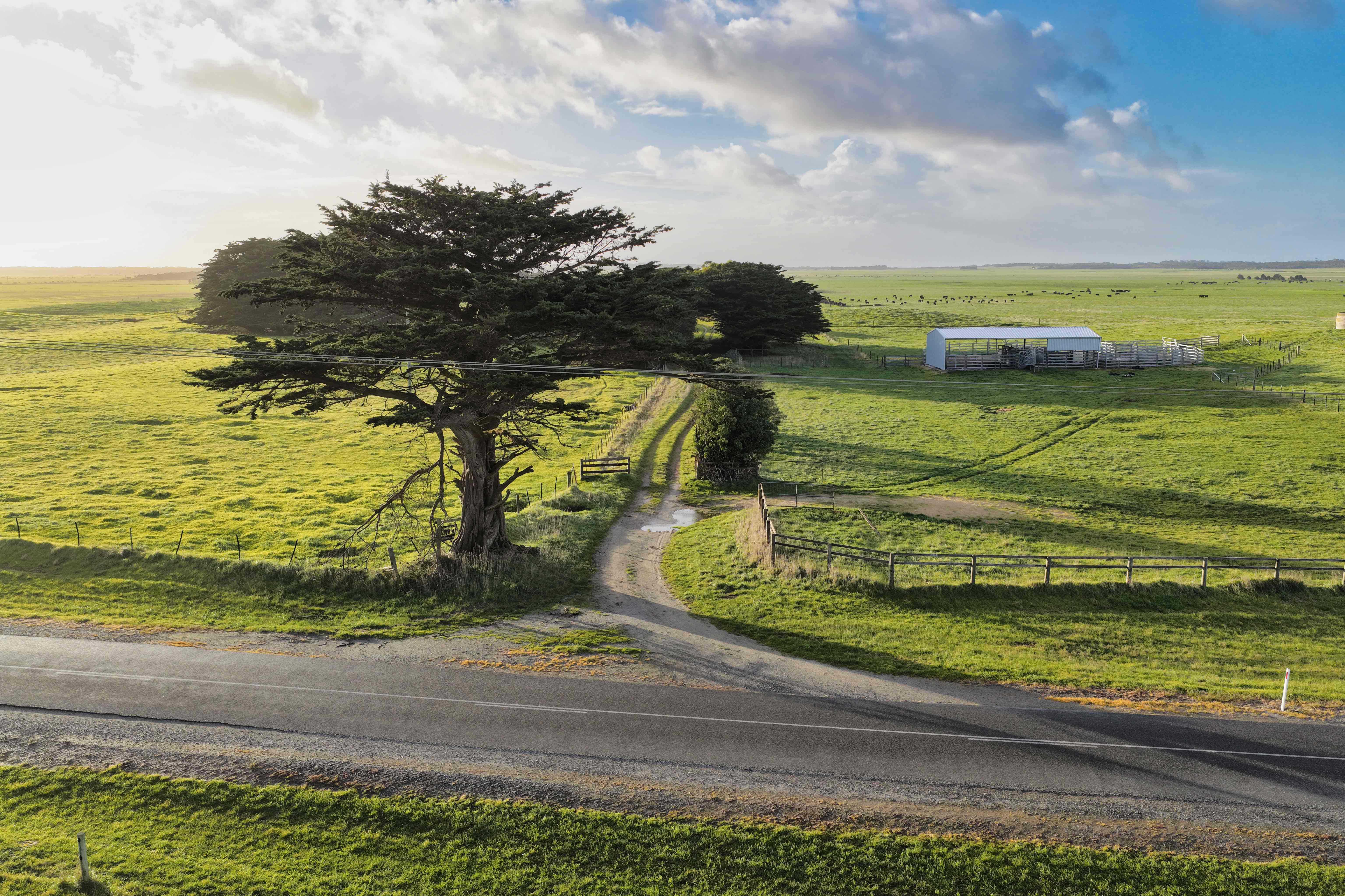 218 Mansons Road, Egg Lagoon, TAS, 7256 - Image 3