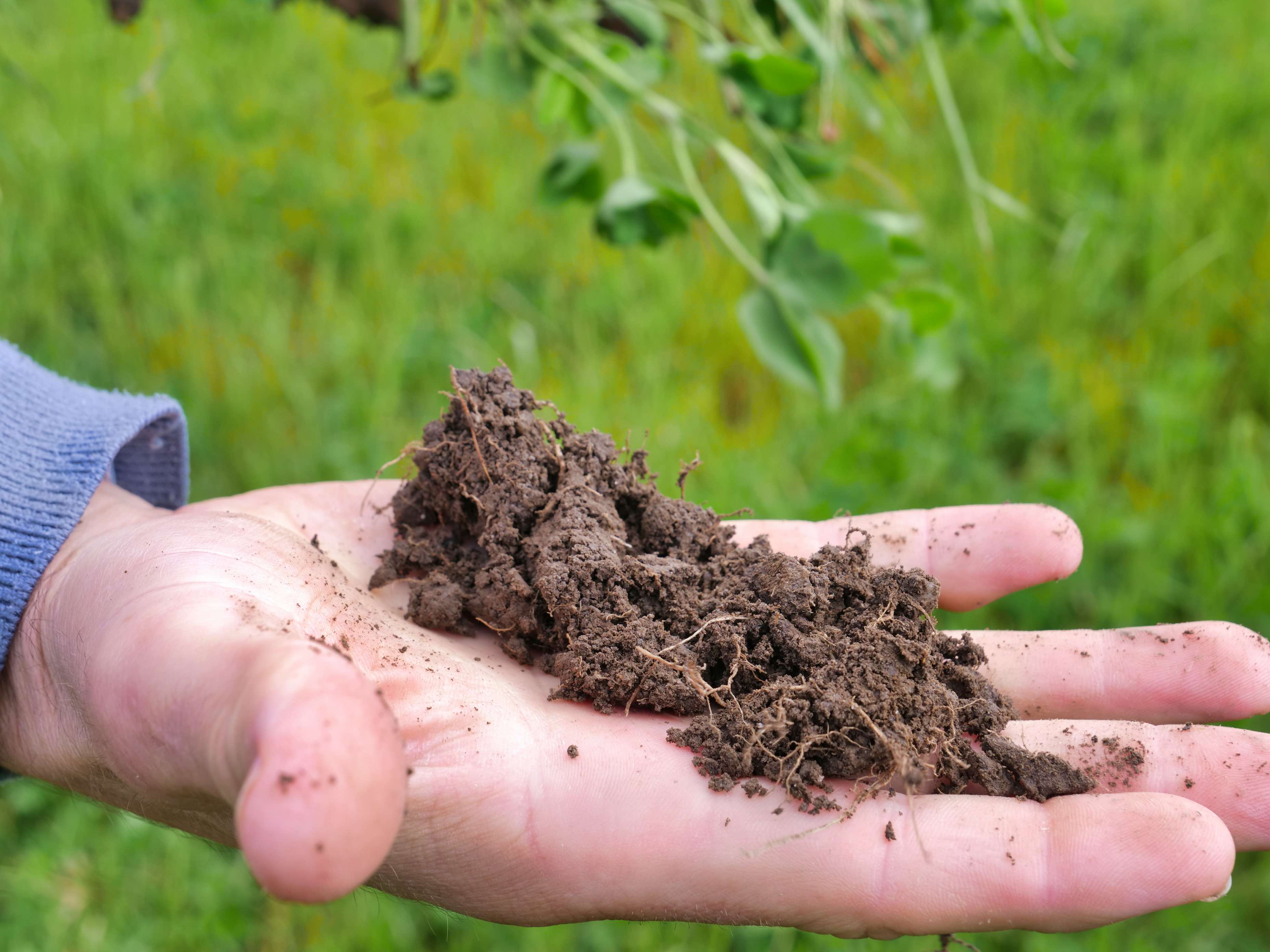 40 Davies Road, Parkham, TAS, 7304 - Image 4