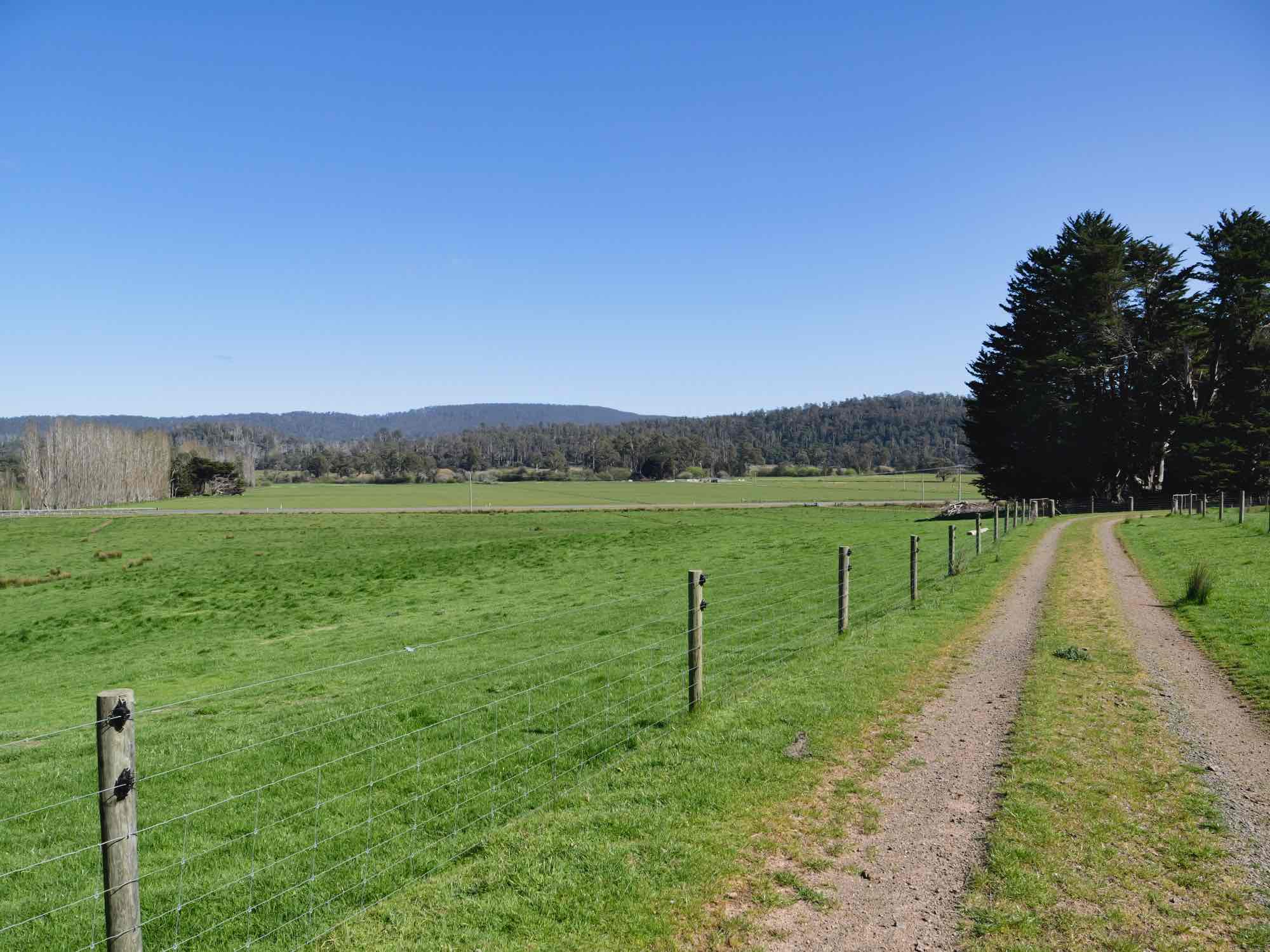 38791 Tasman Highway, Nunamara, TAS, 7259 - Image 4