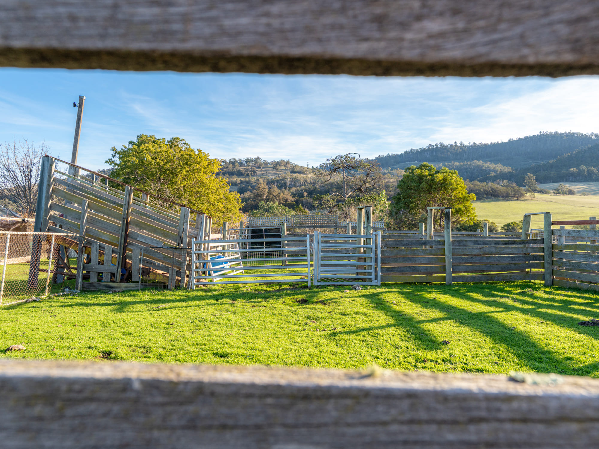 199 Williams Road, Tea Tree, TAS, 7017 - Image 24