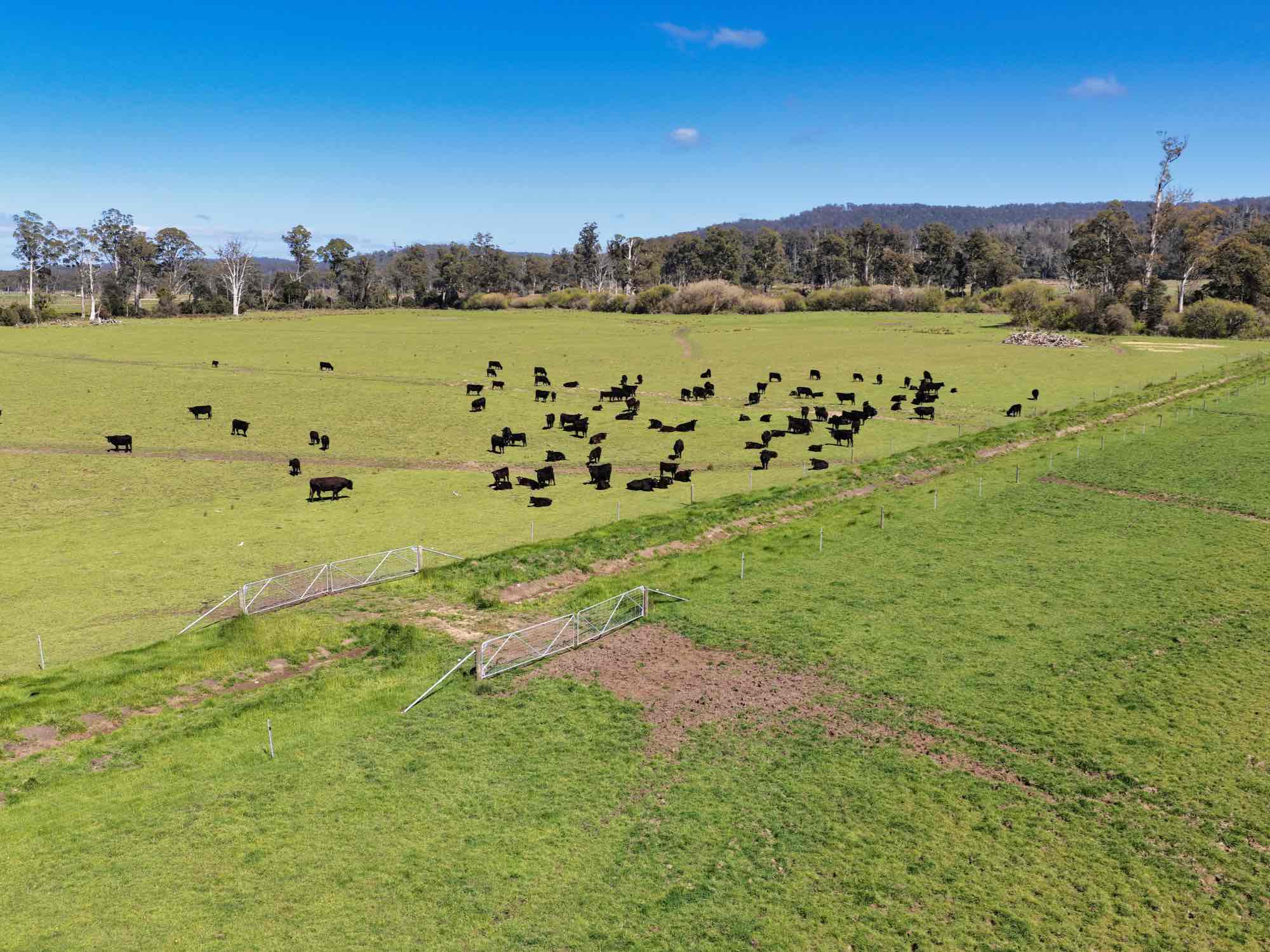 38791 Tasman Highway, Nunamara, TAS, 7259 - Image 5