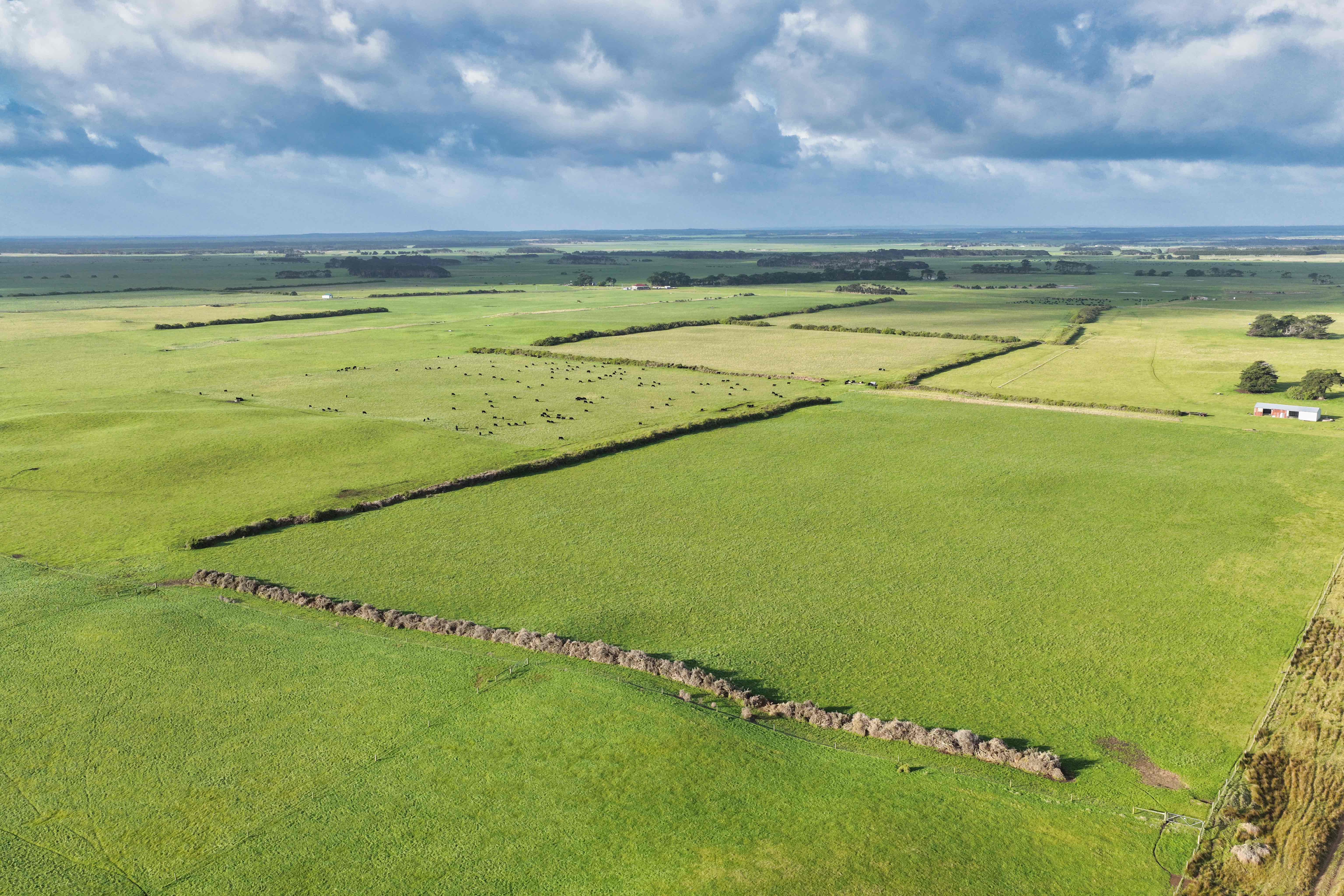 218 Mansons Road, Egg Lagoon TAS 7256
