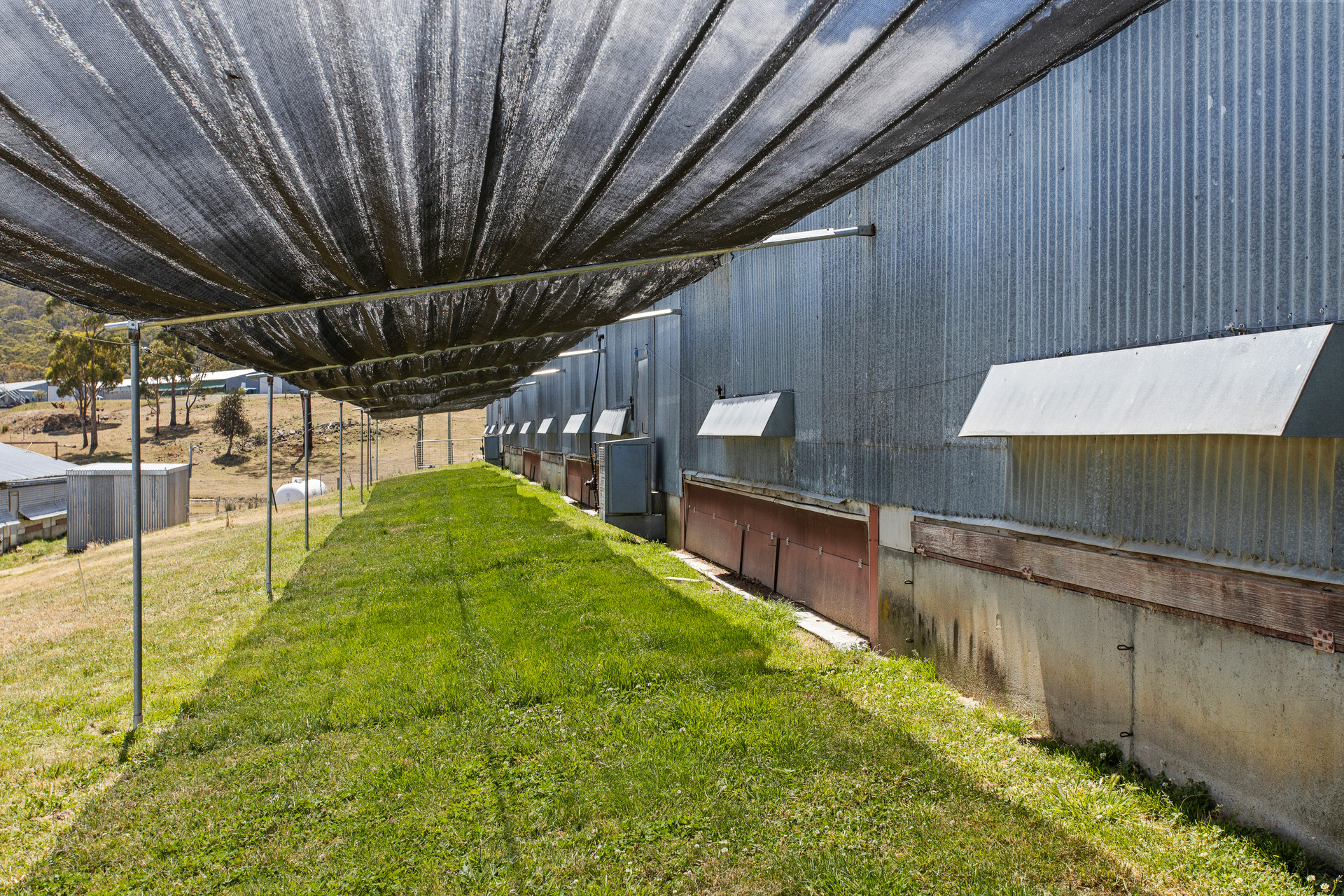 1461 Nugent Road, Nugent, TAS, 7172 - Image 4