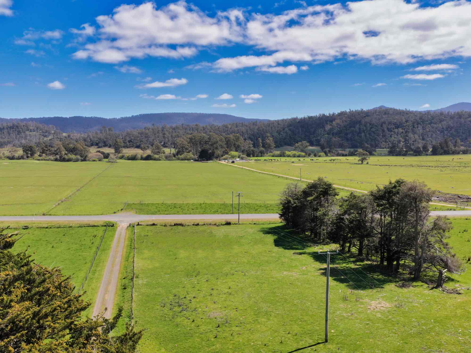 38791 Tasman Highway, Nunamara, TAS, 7259 - Image 6