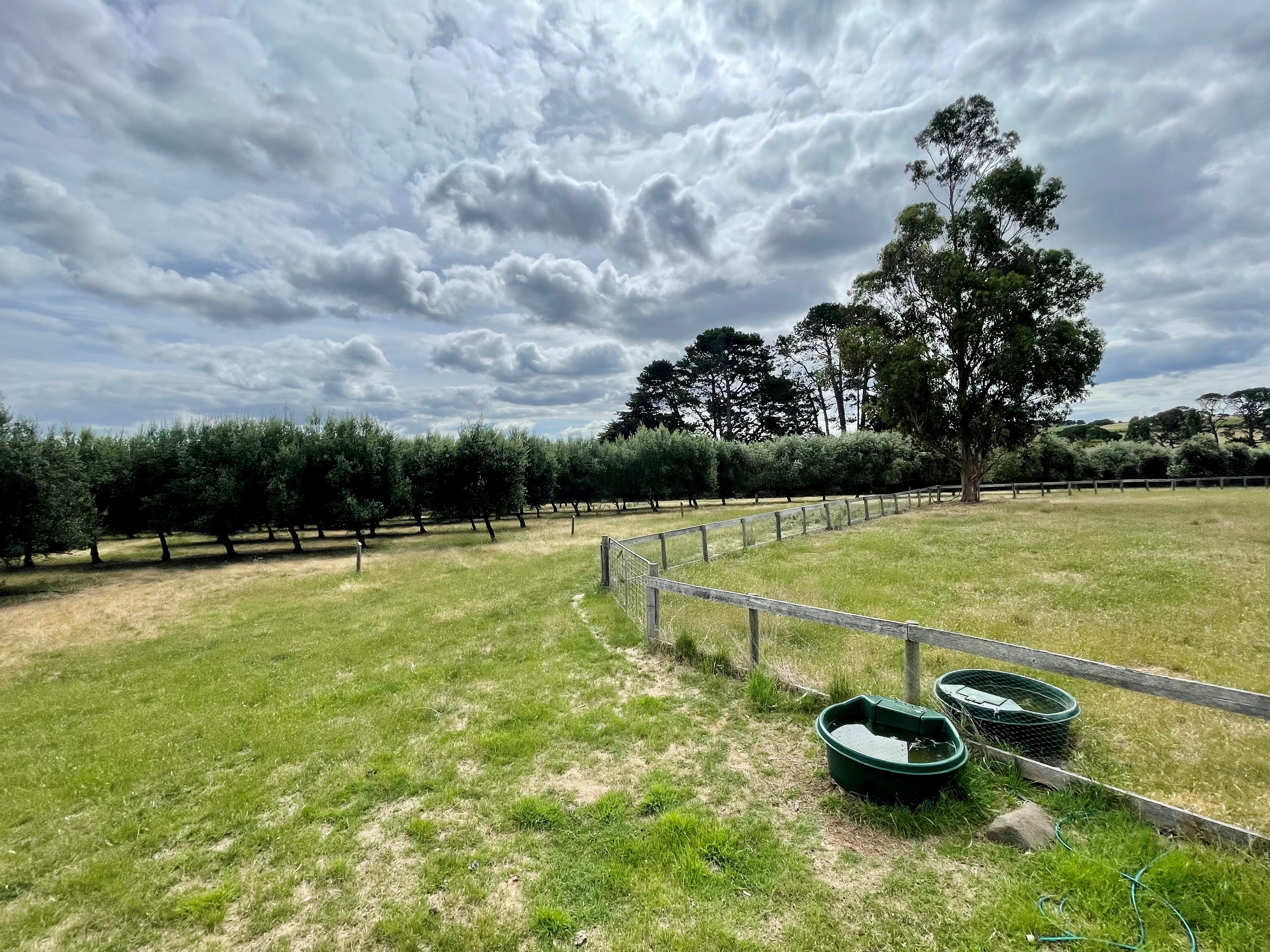 292 Everton Lane, White Hills, TAS, 7258 - Image 1