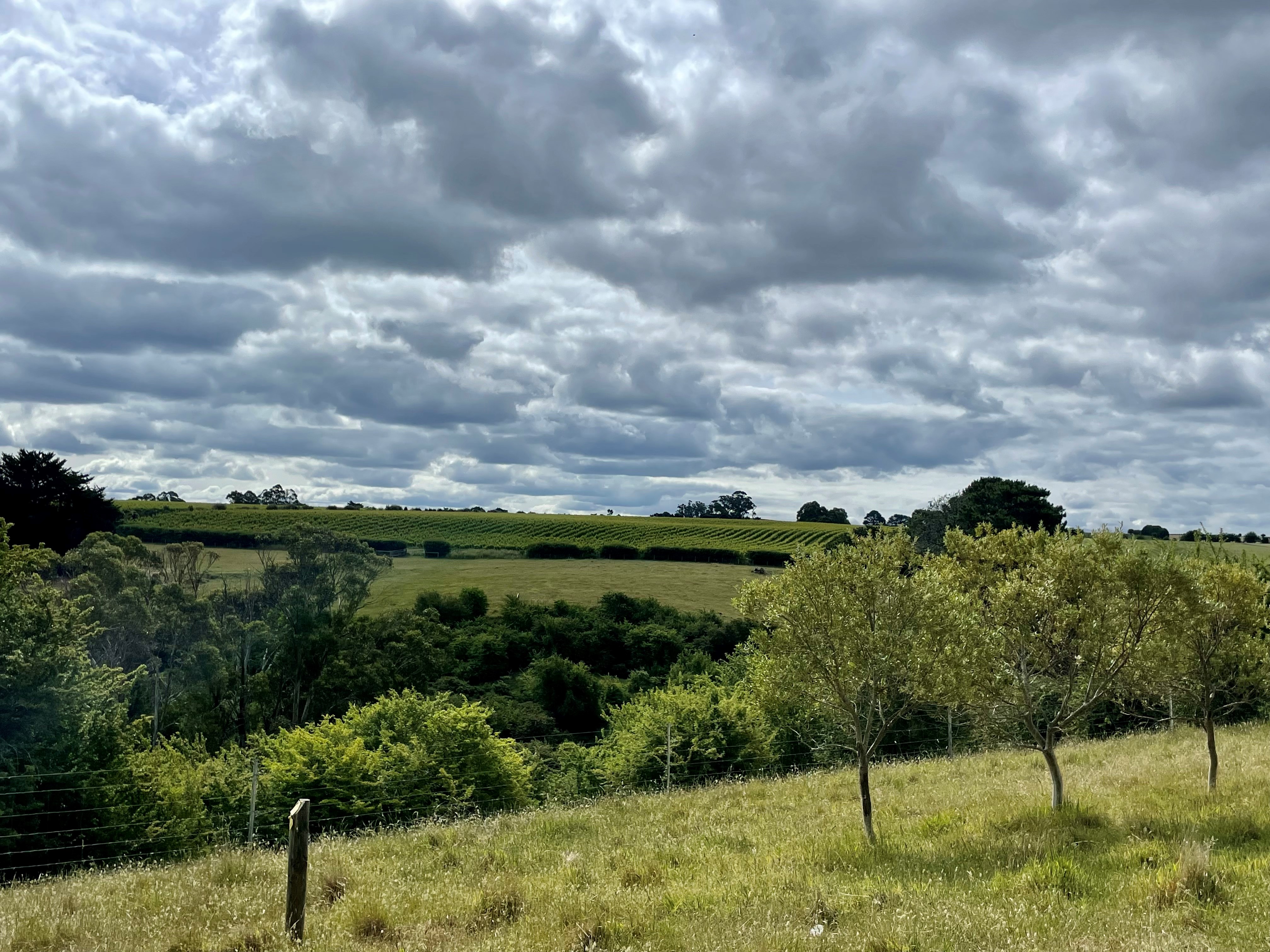 292 Everton Lane, White Hills, TAS, 7258 - Image 11